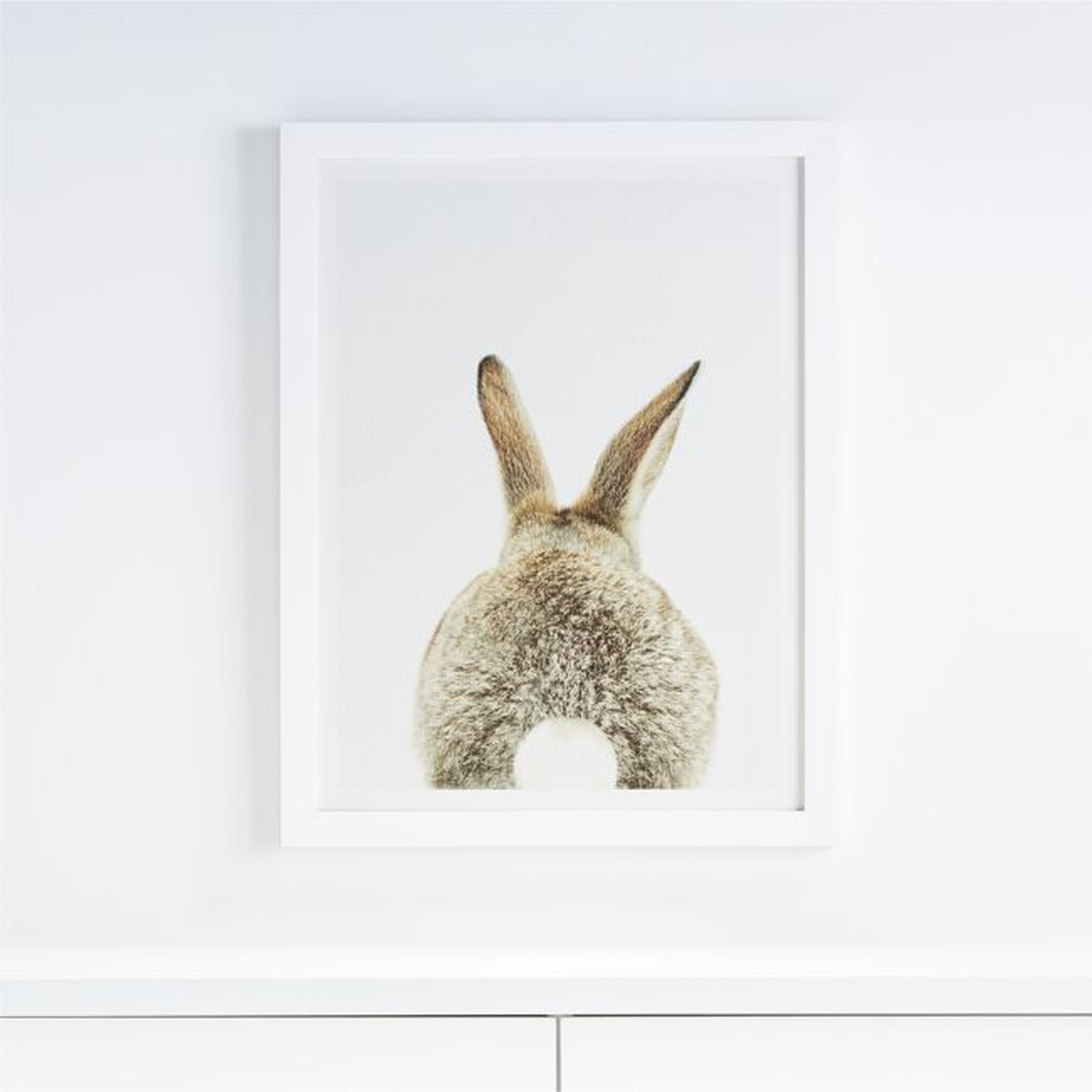 Bunny Tail Framed Wall Art - Crate and Barrel