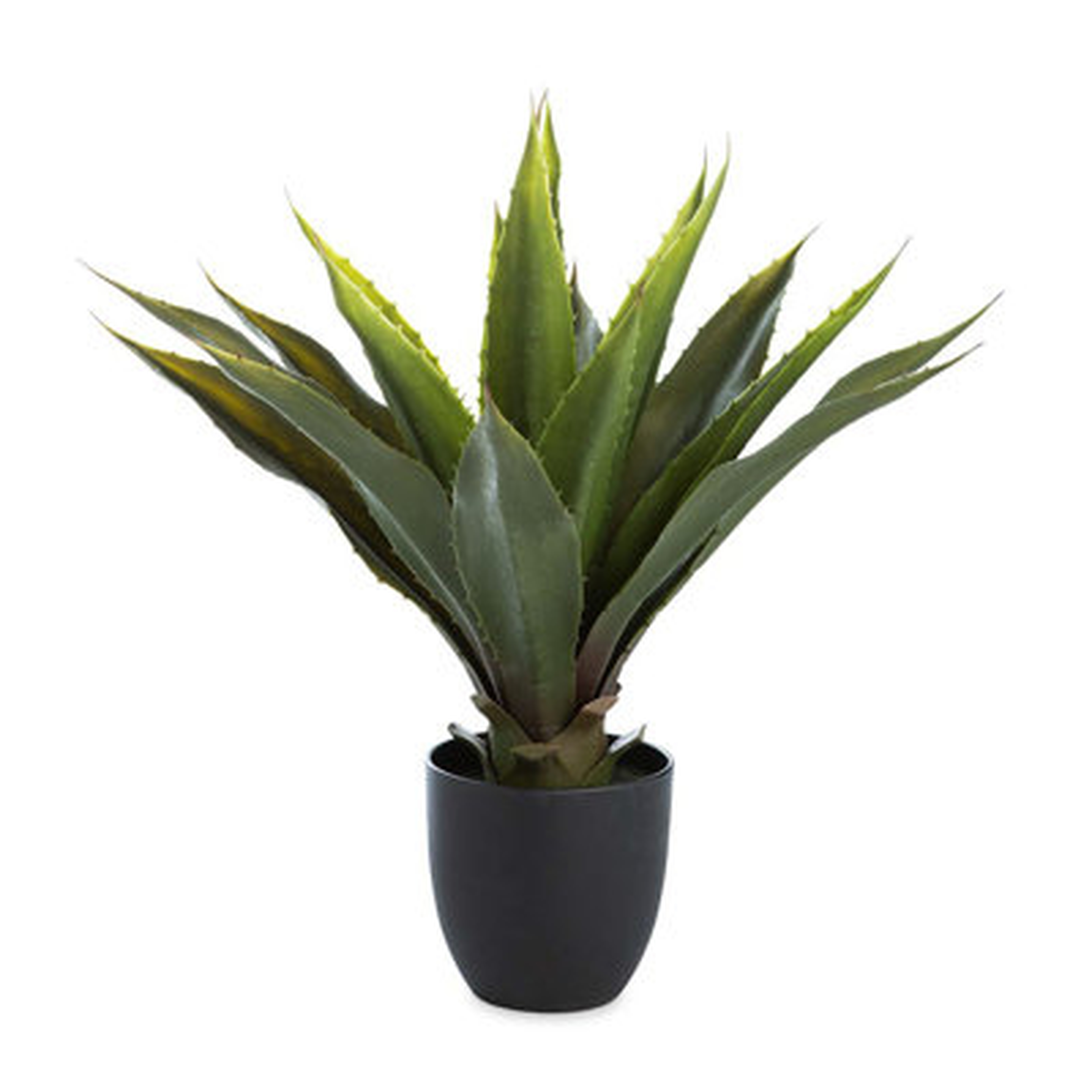 Large Faux Real Agave Plant - Wayfair