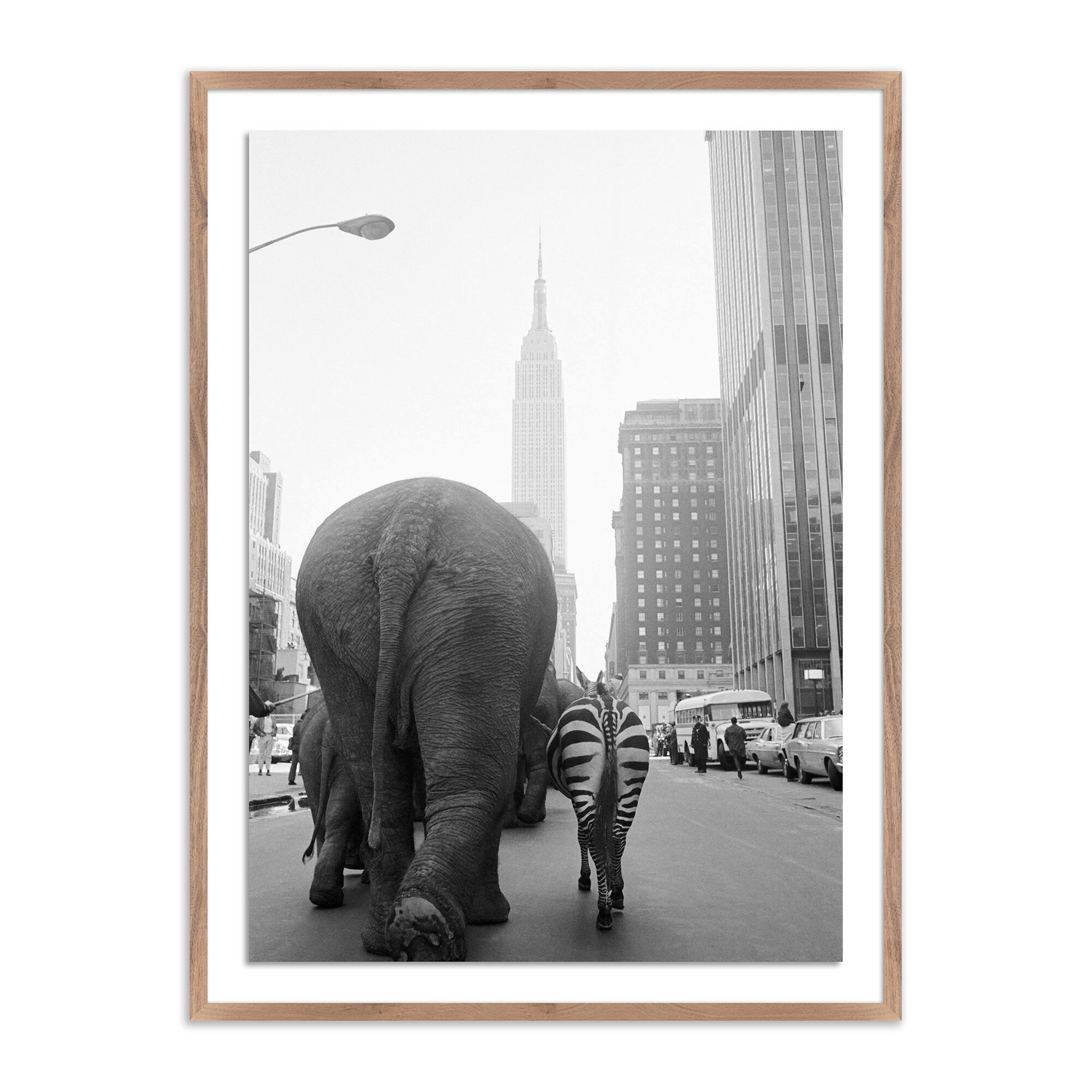Circus Animals On 33Rd St by Getty Images - Rustic 2.5 Walnut - Four Hands