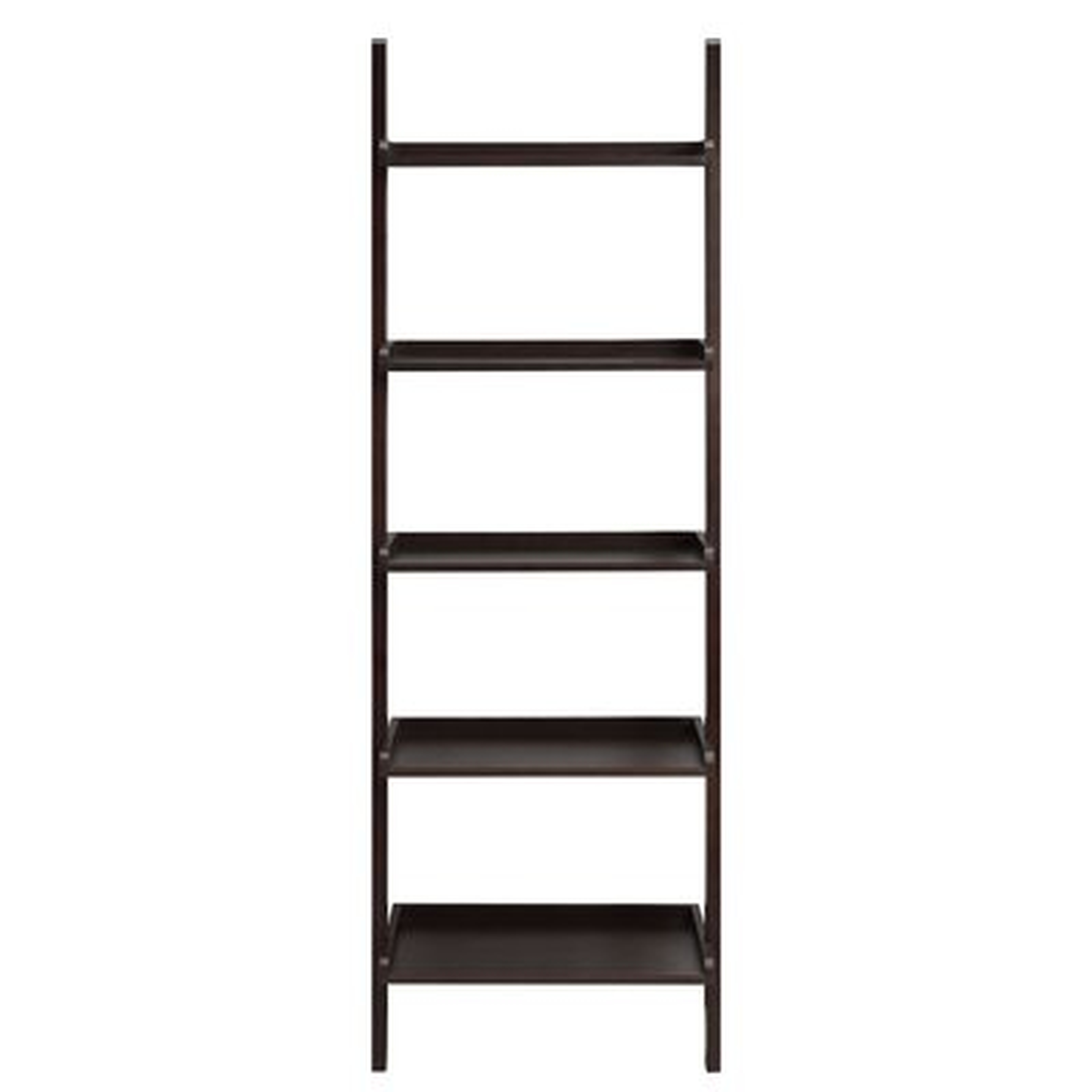 Lundberg Wall Ladder Bookcase - Wayfair