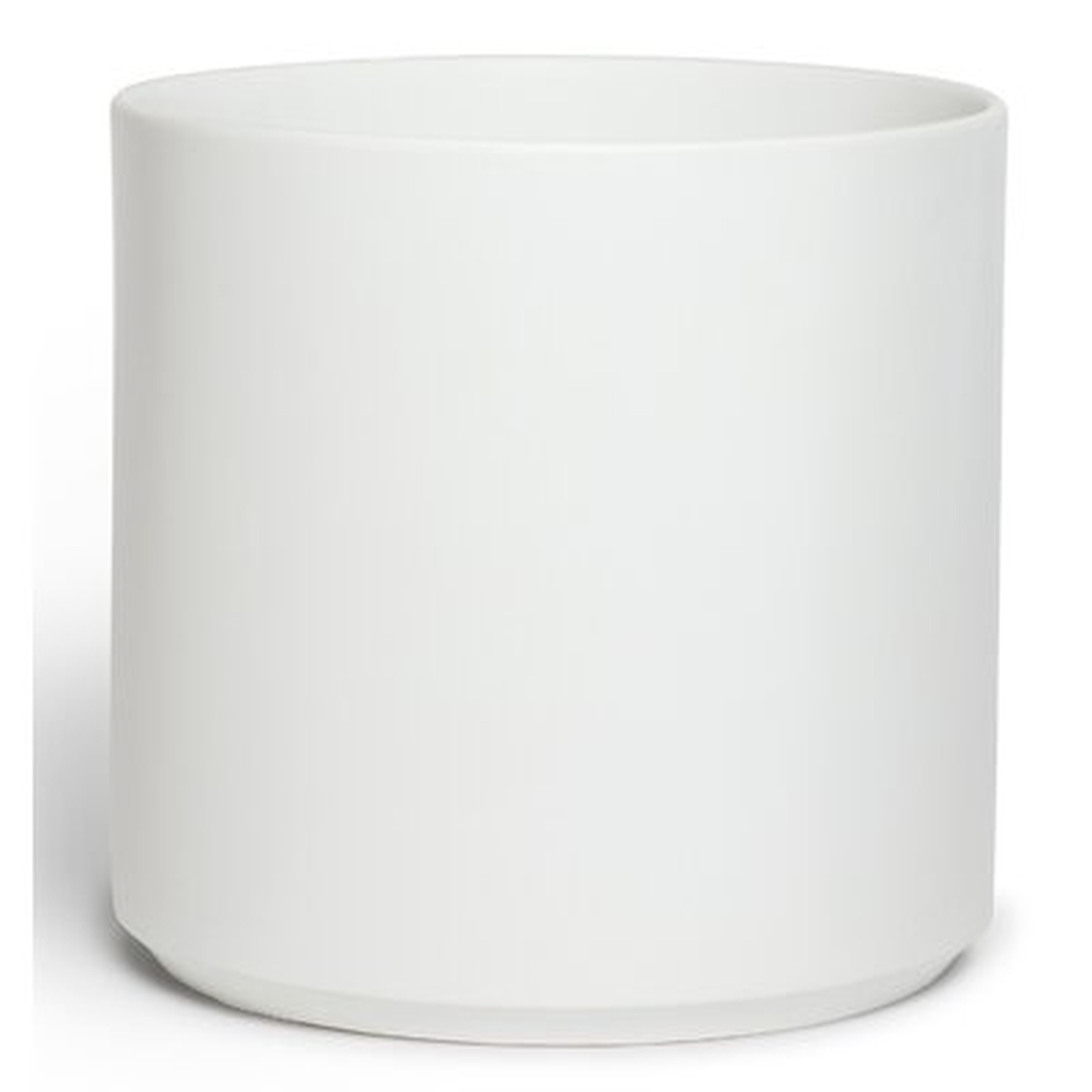 Ceramic Pot Planter - AllModern
