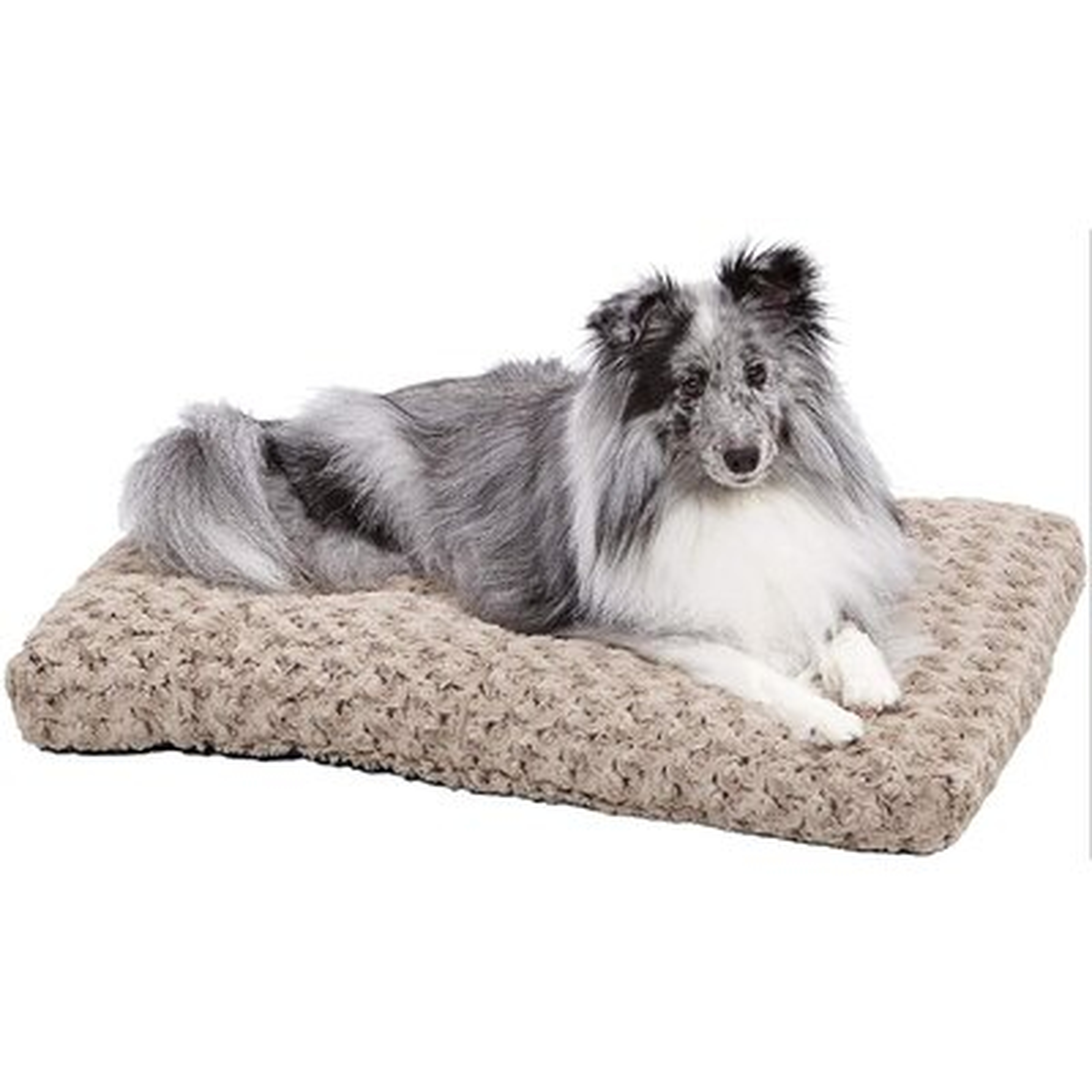 Plush Dog Bed | Dog Bed & Cat Bed - Wayfair