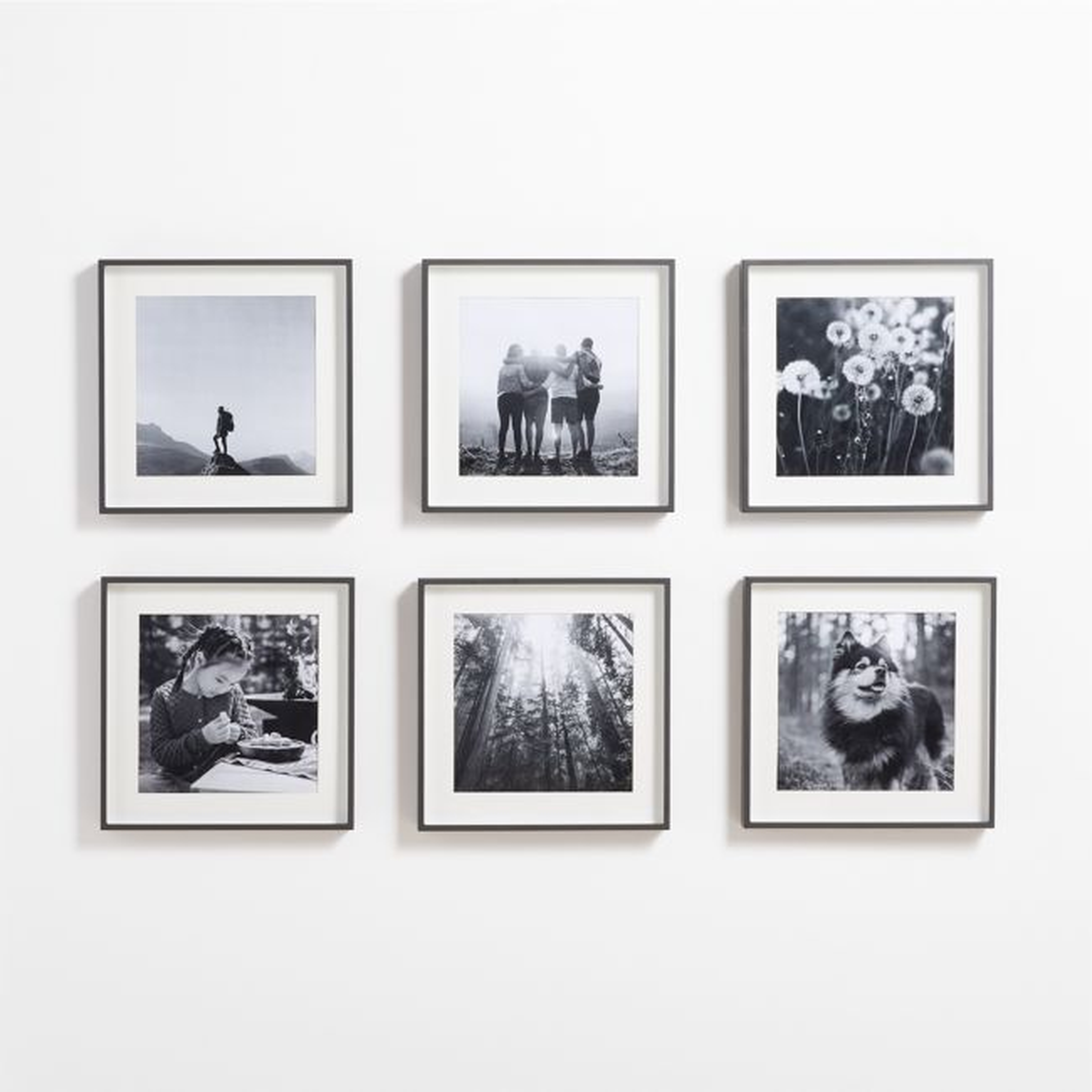 6-Piece Brushed Black 11x11 Gallery Wall Frame Set - Crate and Barrel