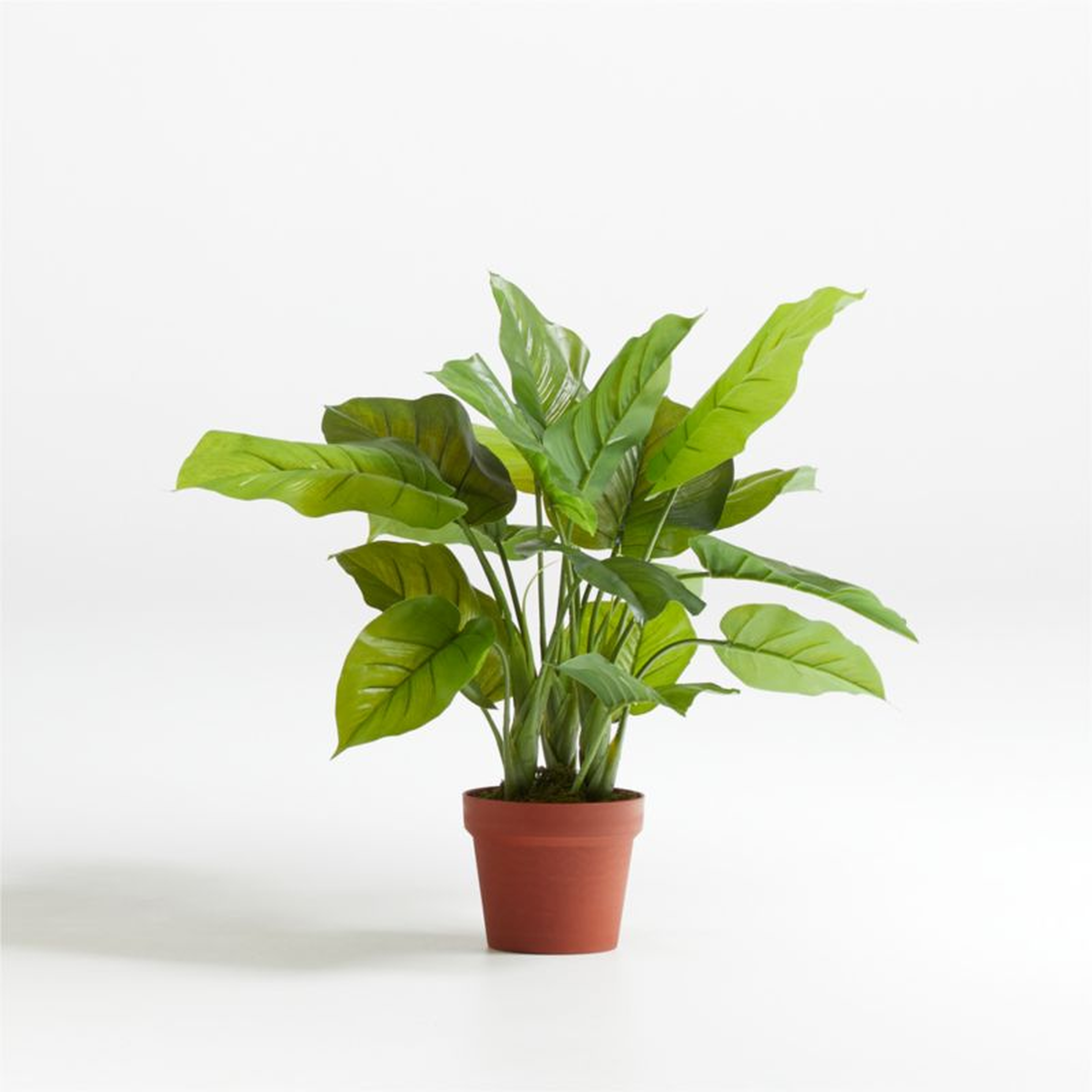 27" Faux Large Leaf Philodendron Plant - Crate and Barrel