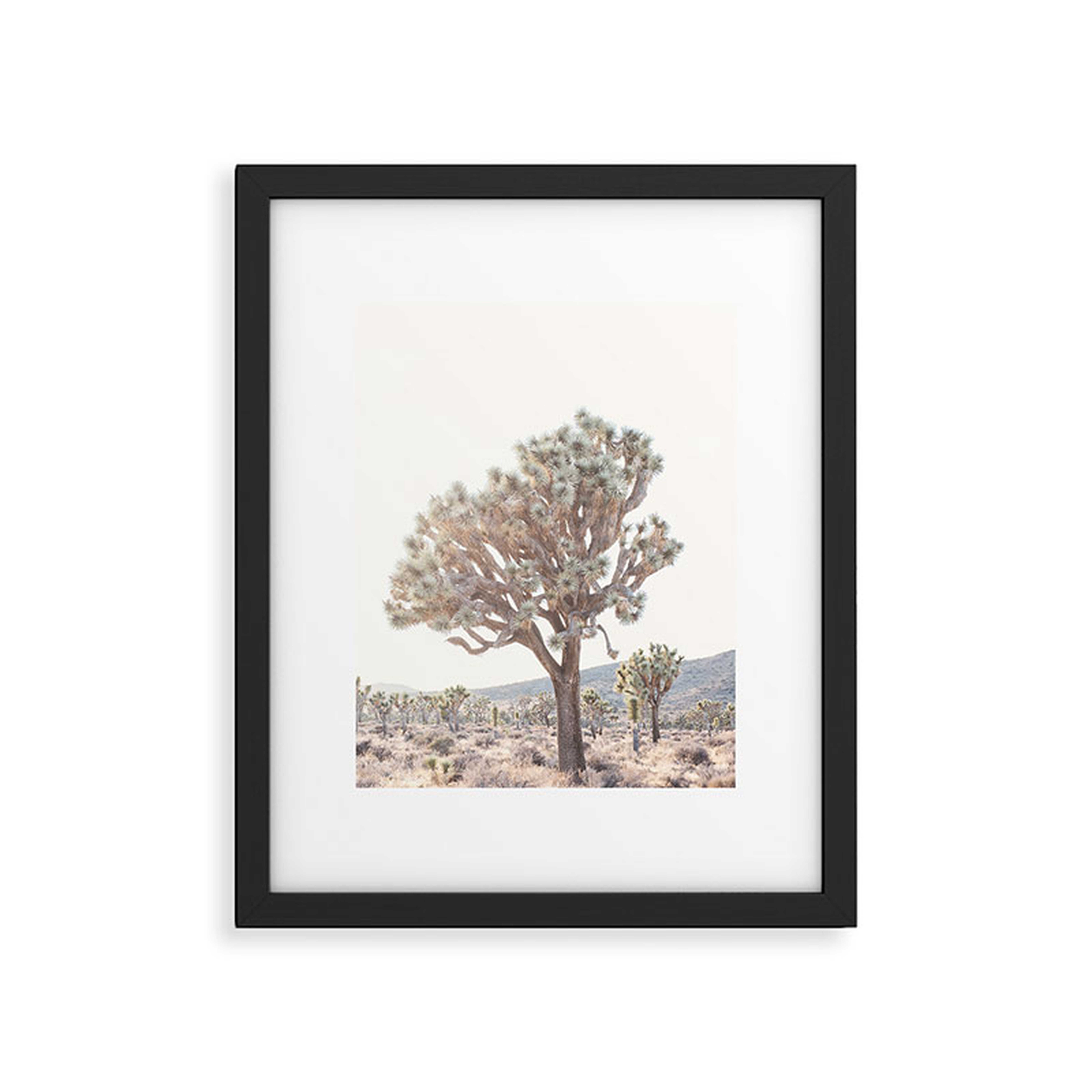 Desert Light by Bree Madden - Modern Framed Art Print, Black, 11" x 14" - Roam Common