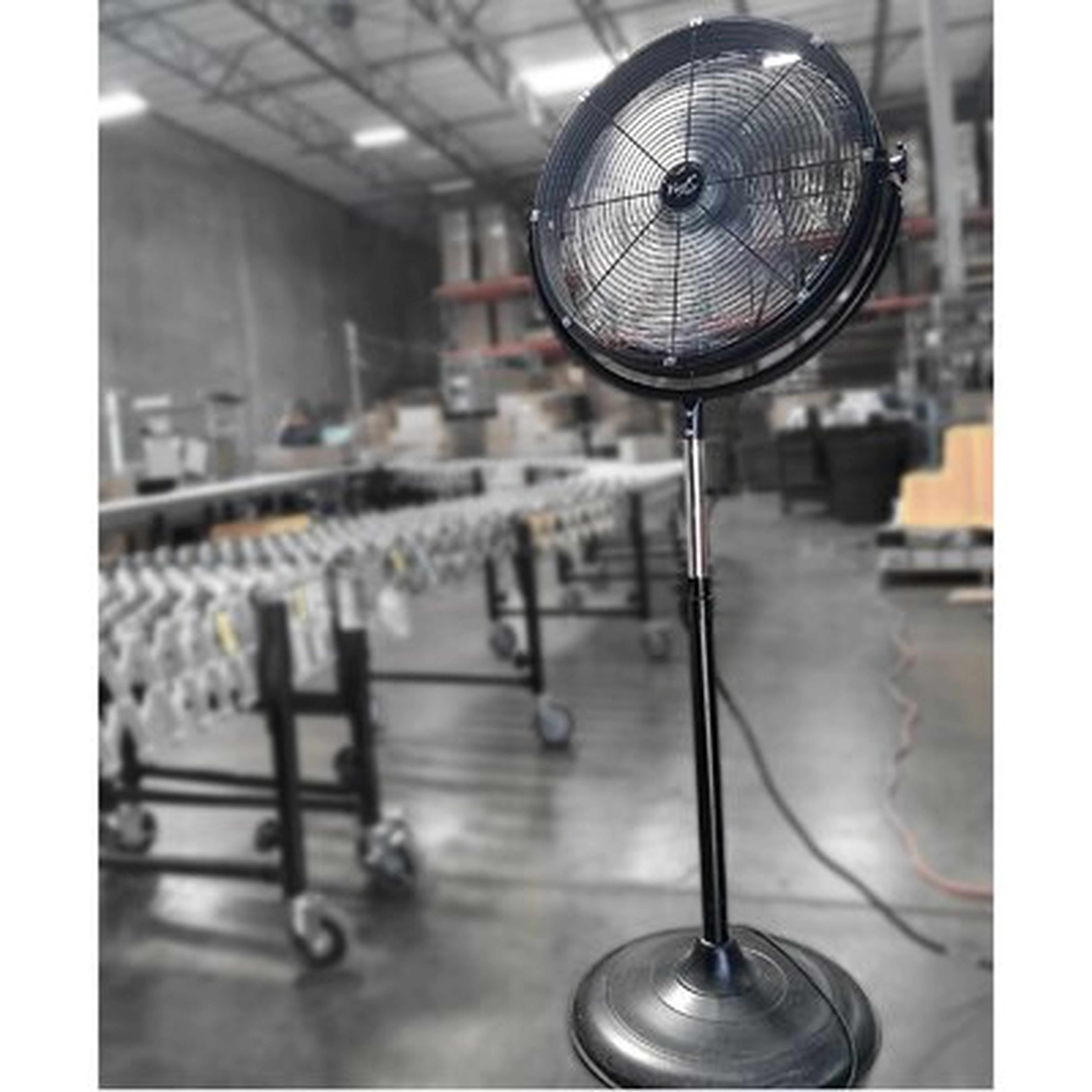 53" Standing Fan - Wayfair