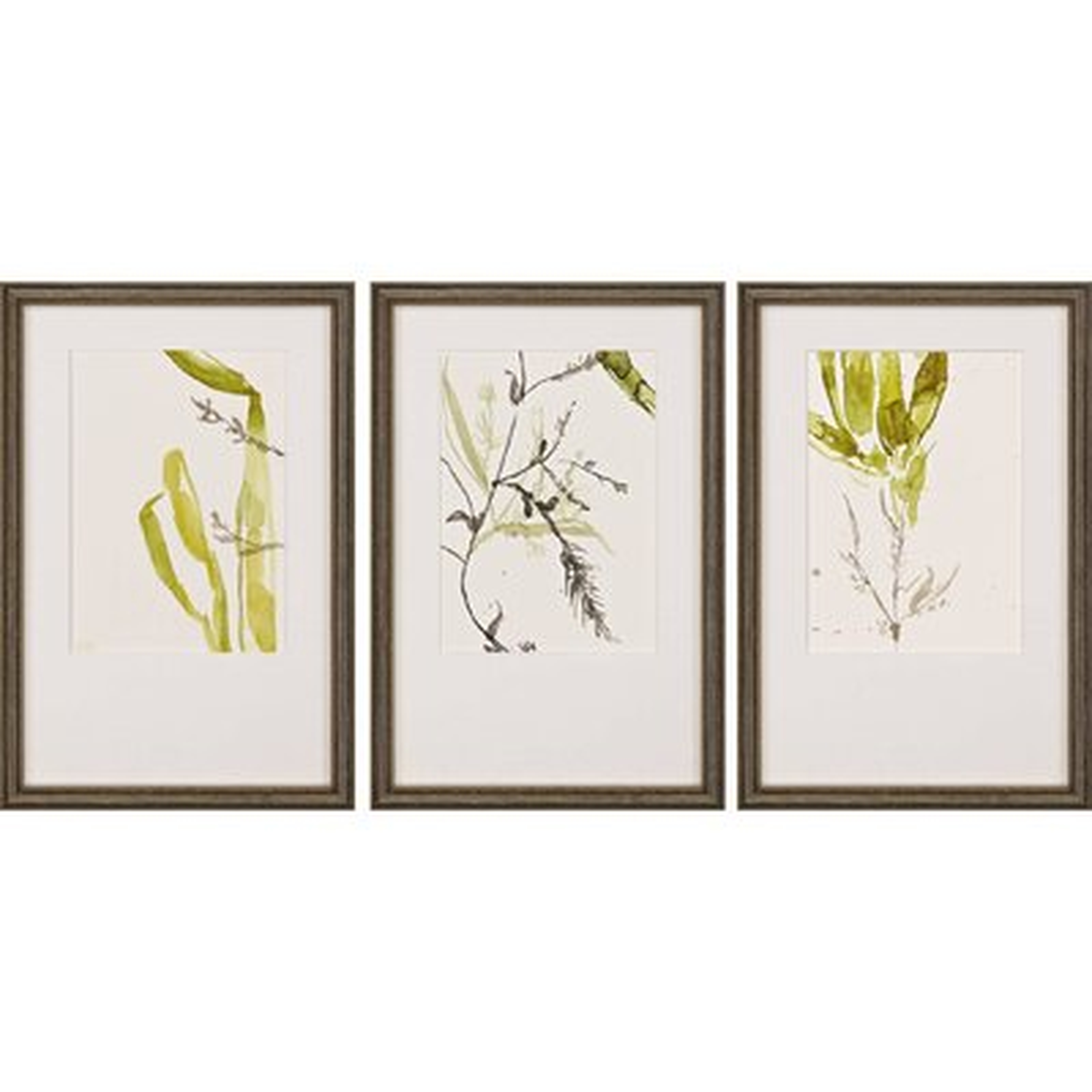 'Sea Forest II S/3' by Goldberger - 3 Piece Picture Frame Print Set on Paper - Wayfair