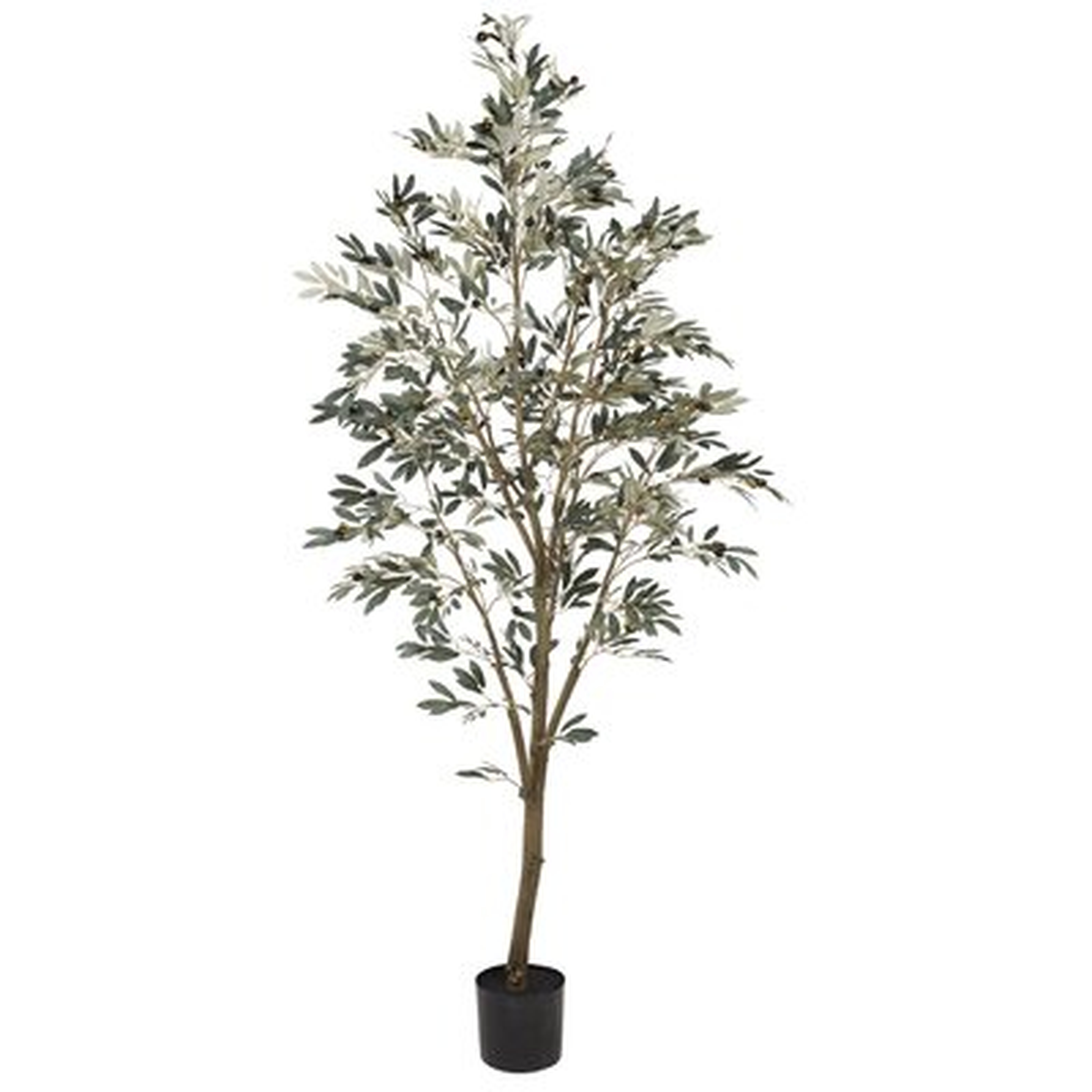 84'' Artificial Olive Tree in Pot - Wayfair