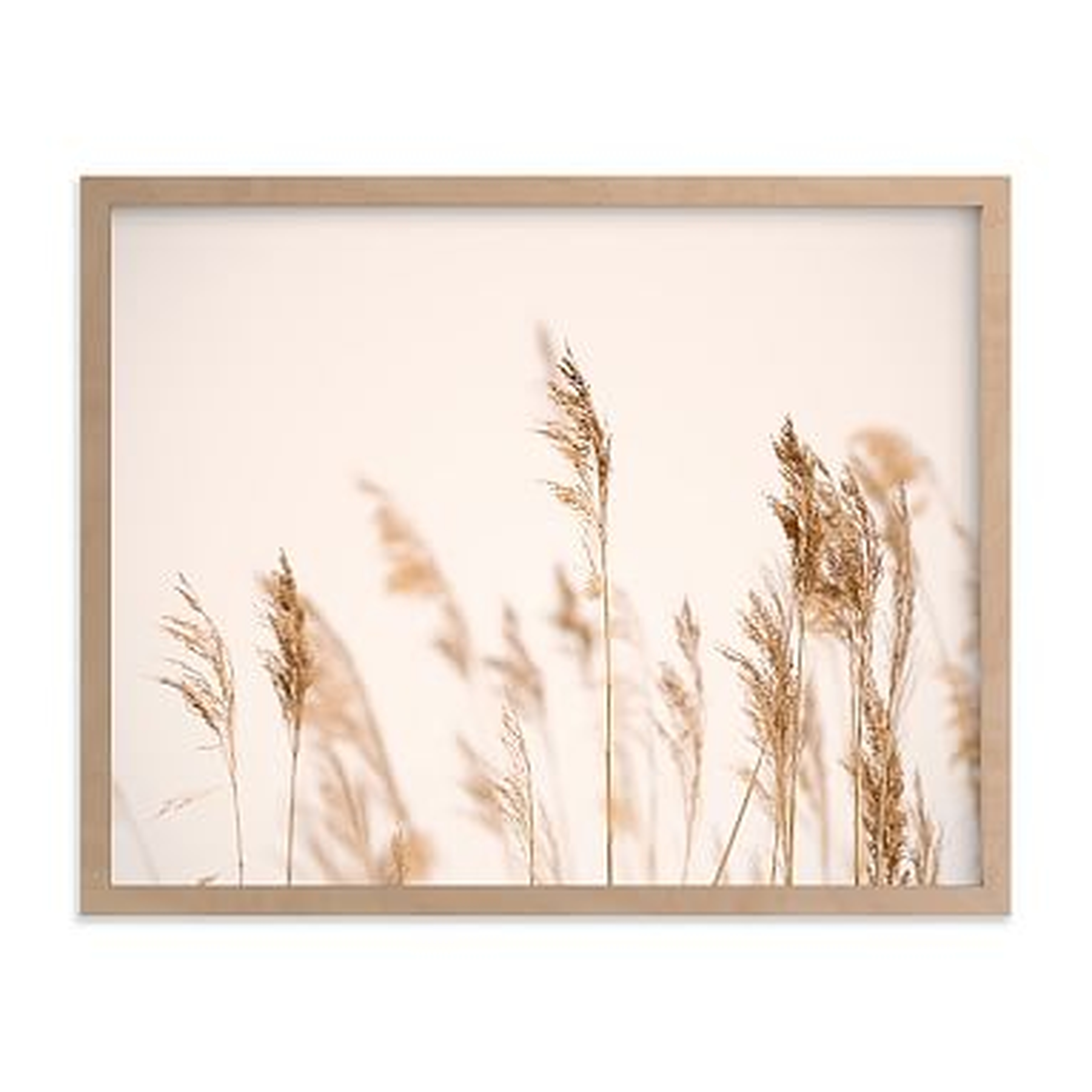 Summer Weeds Framed Art by Minted(R), Natural, 11x14 - Pottery Barn Teen