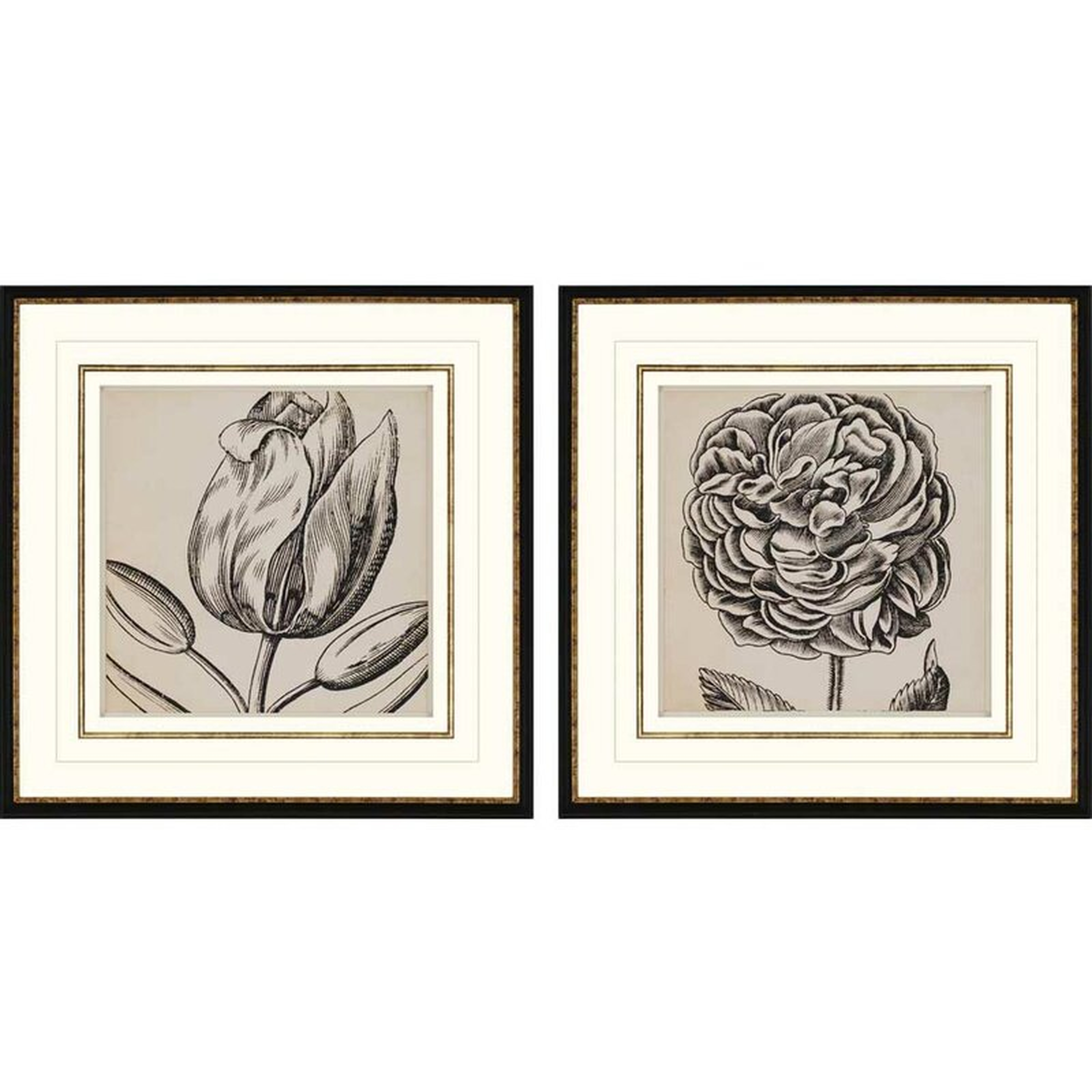 Paragon Graphic Floral II by Anonymous 2 Piece Framed Graphic Art Set - Perigold