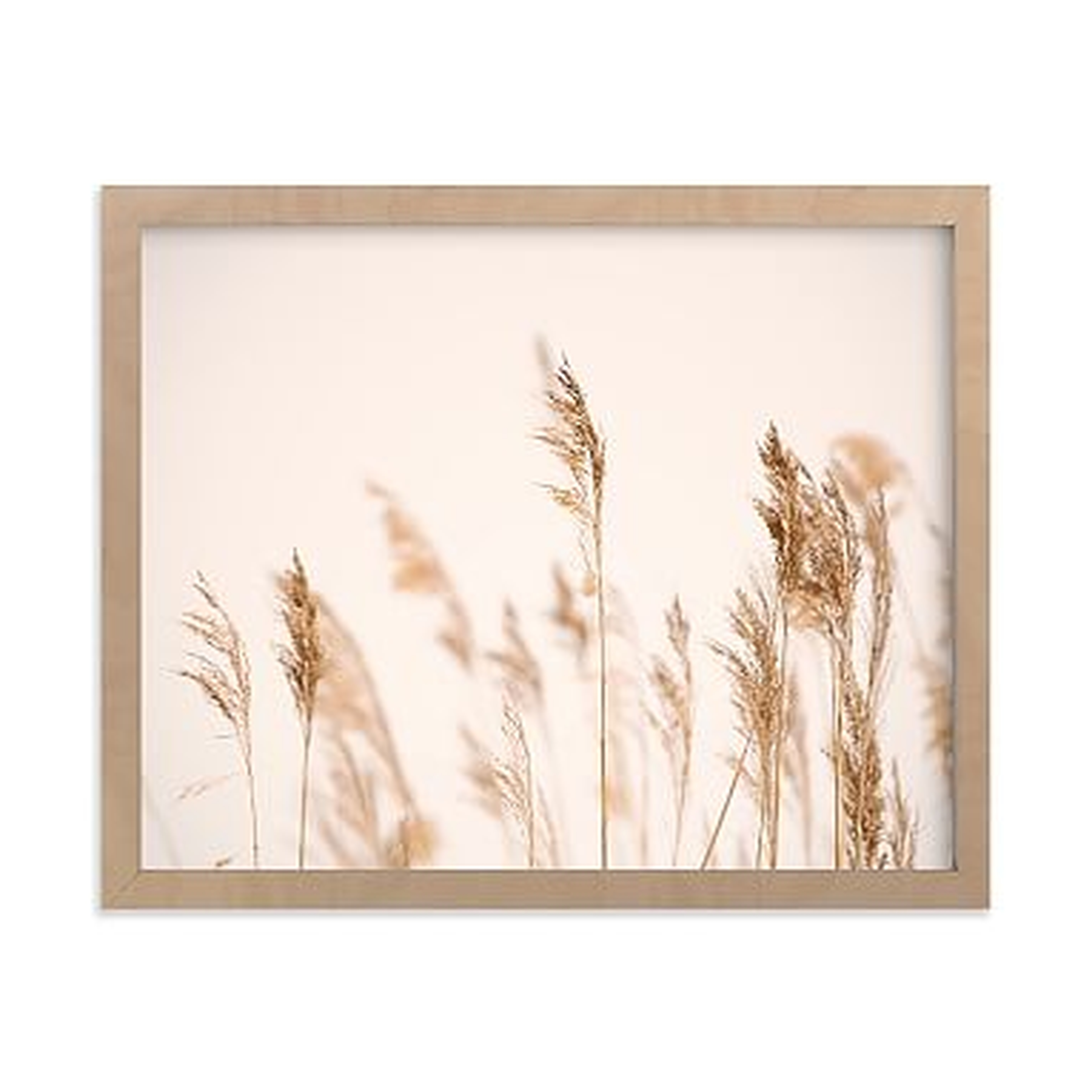 Summer Weeds Framed Art by Minted(R), Natural, 8x10 - Pottery Barn Teen