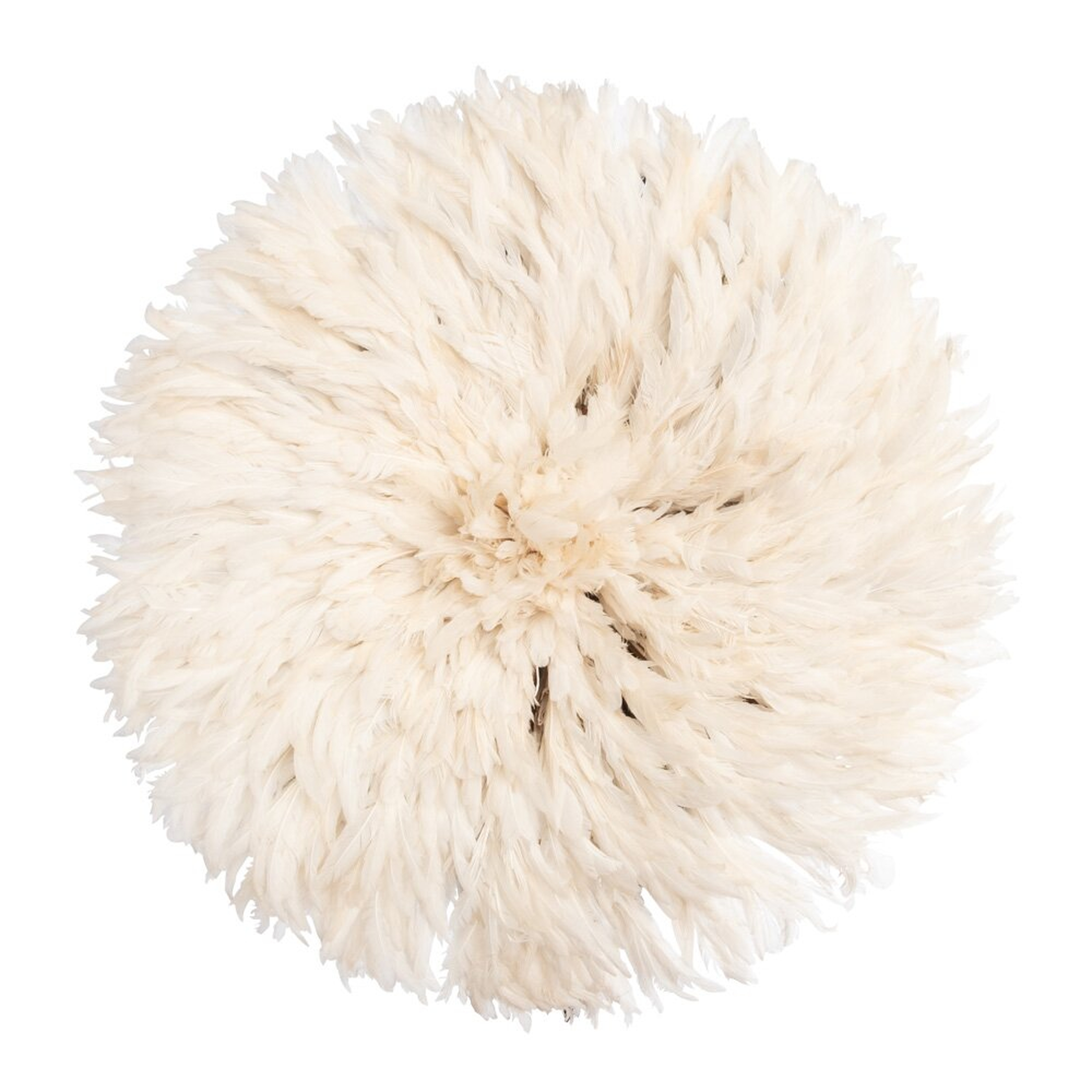 Ngala Trading Co. 32"" Cameroon Feather (JuJu) Wall Décor - Perigold