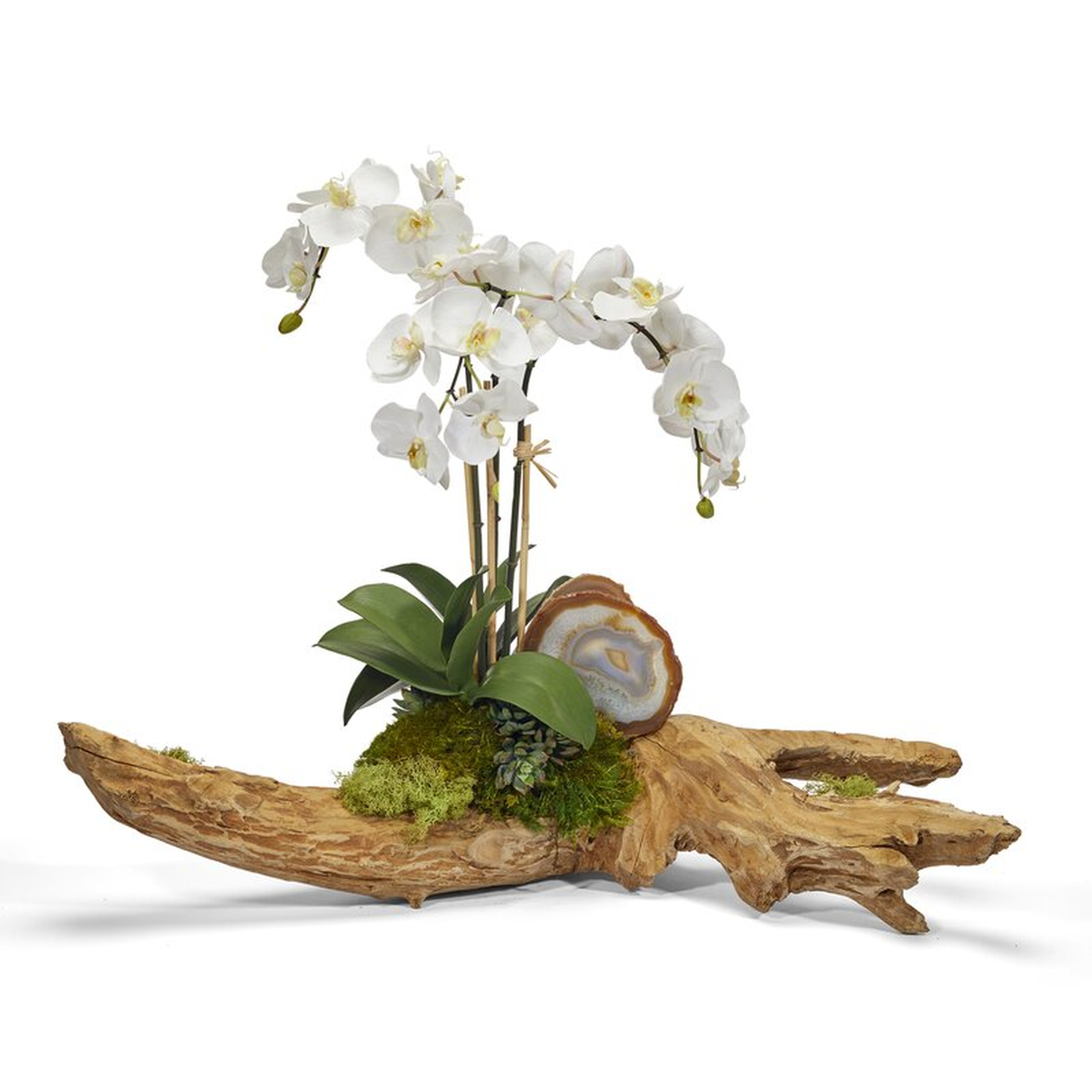 Orchids Floral Arrangement in Planter - Perigold