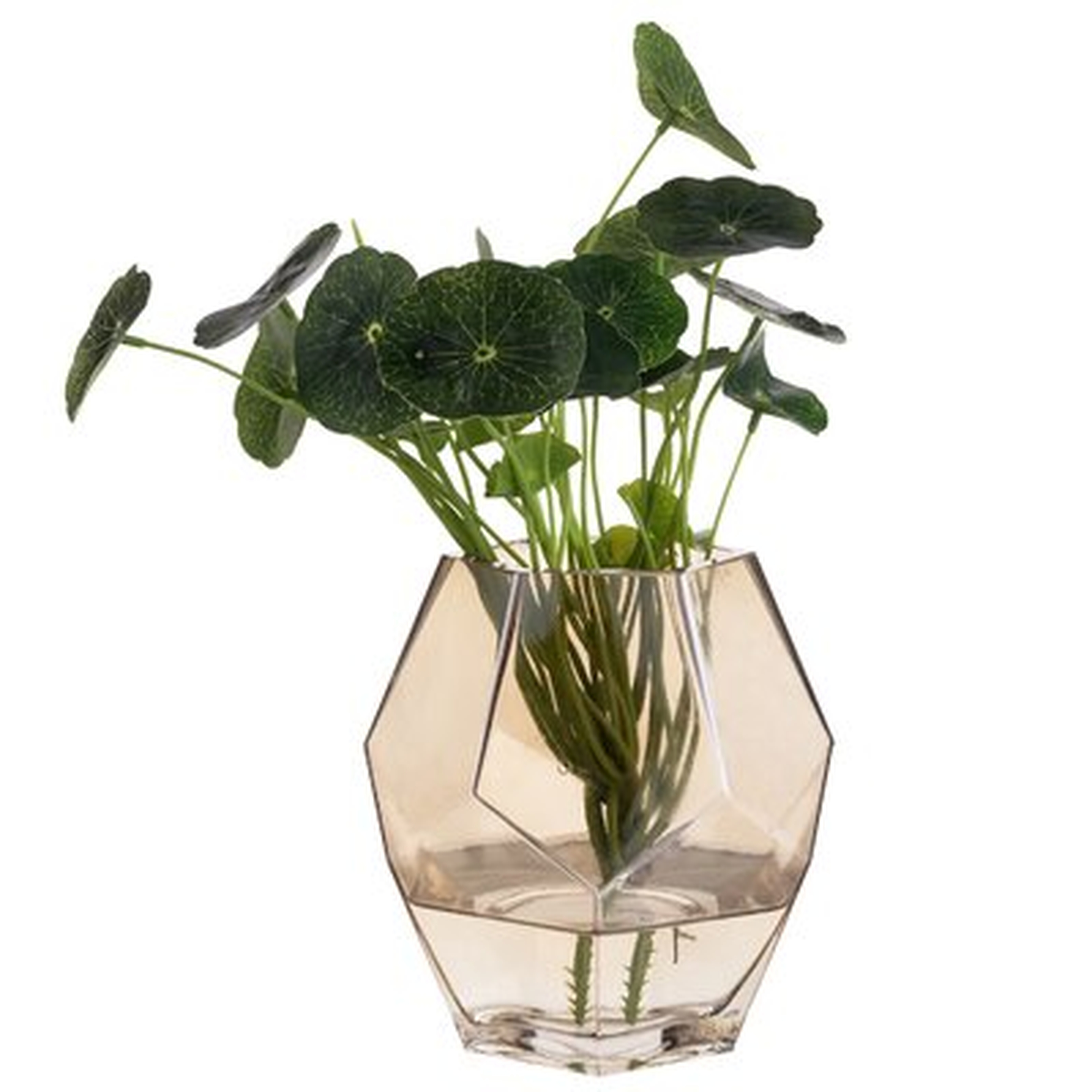 Amber 5" Glass Table Vase - Wayfair