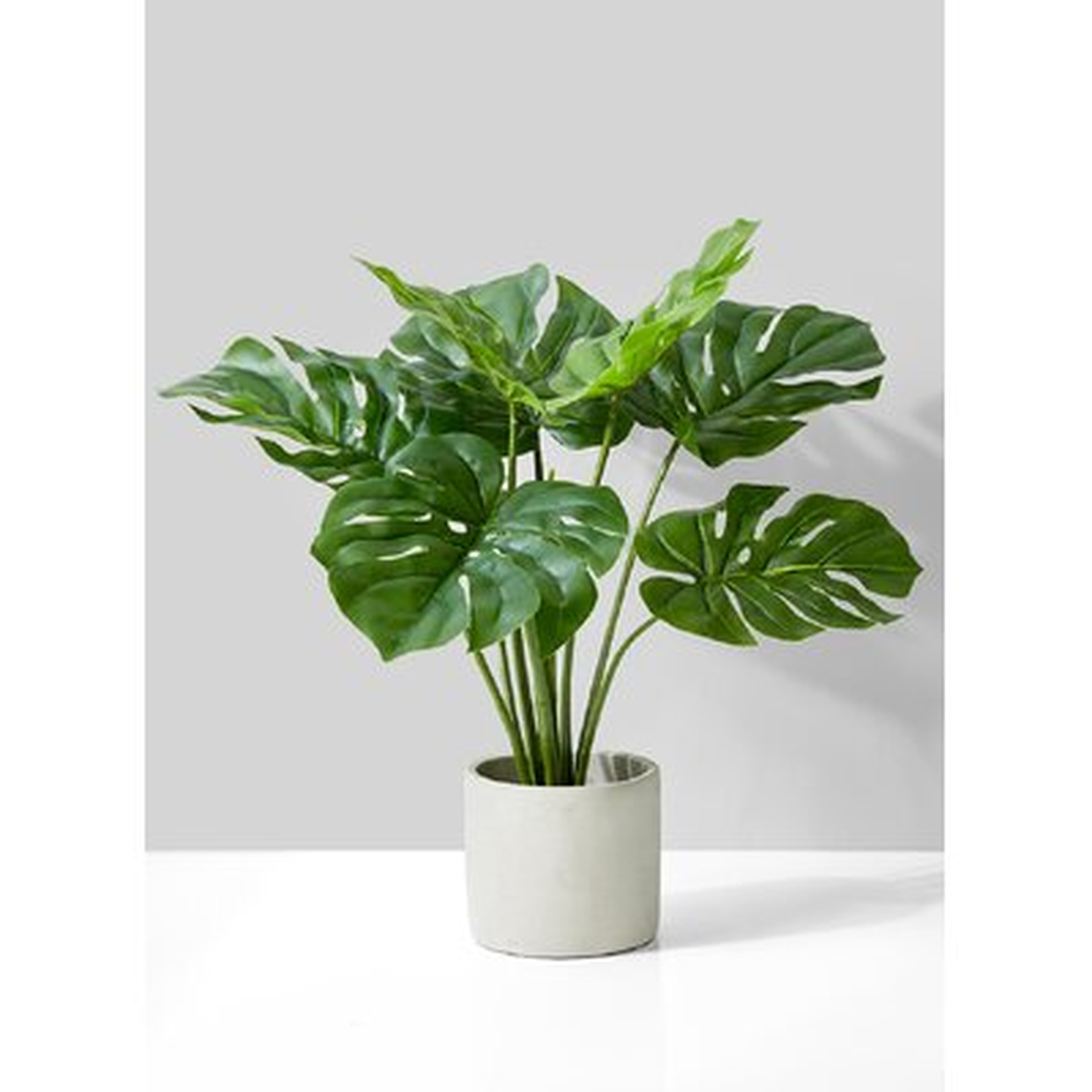 Evergreen Plant Pot - Wayfair