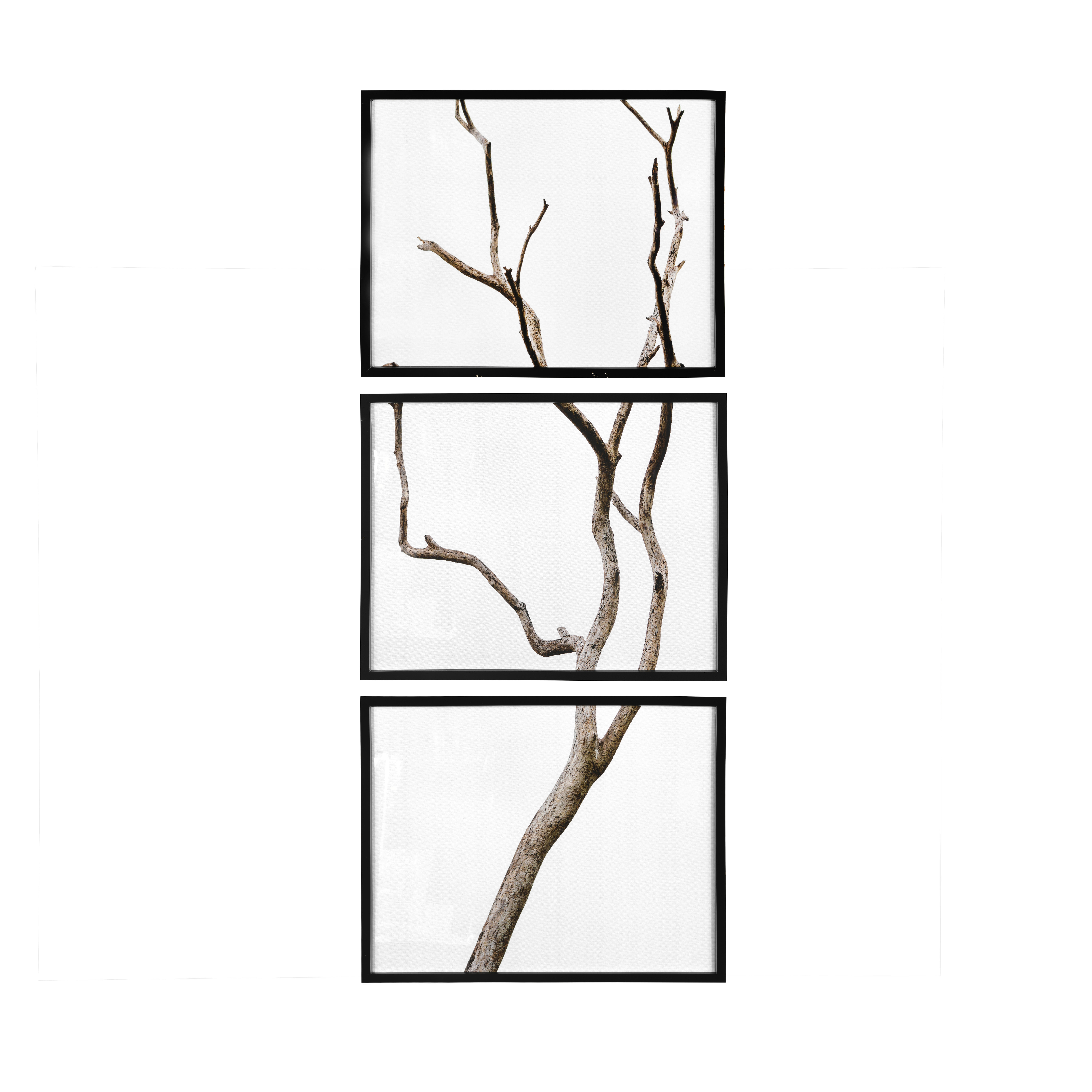 Wood Framed Branch Artwork, Black (Set of 3) - Creative Co-Op