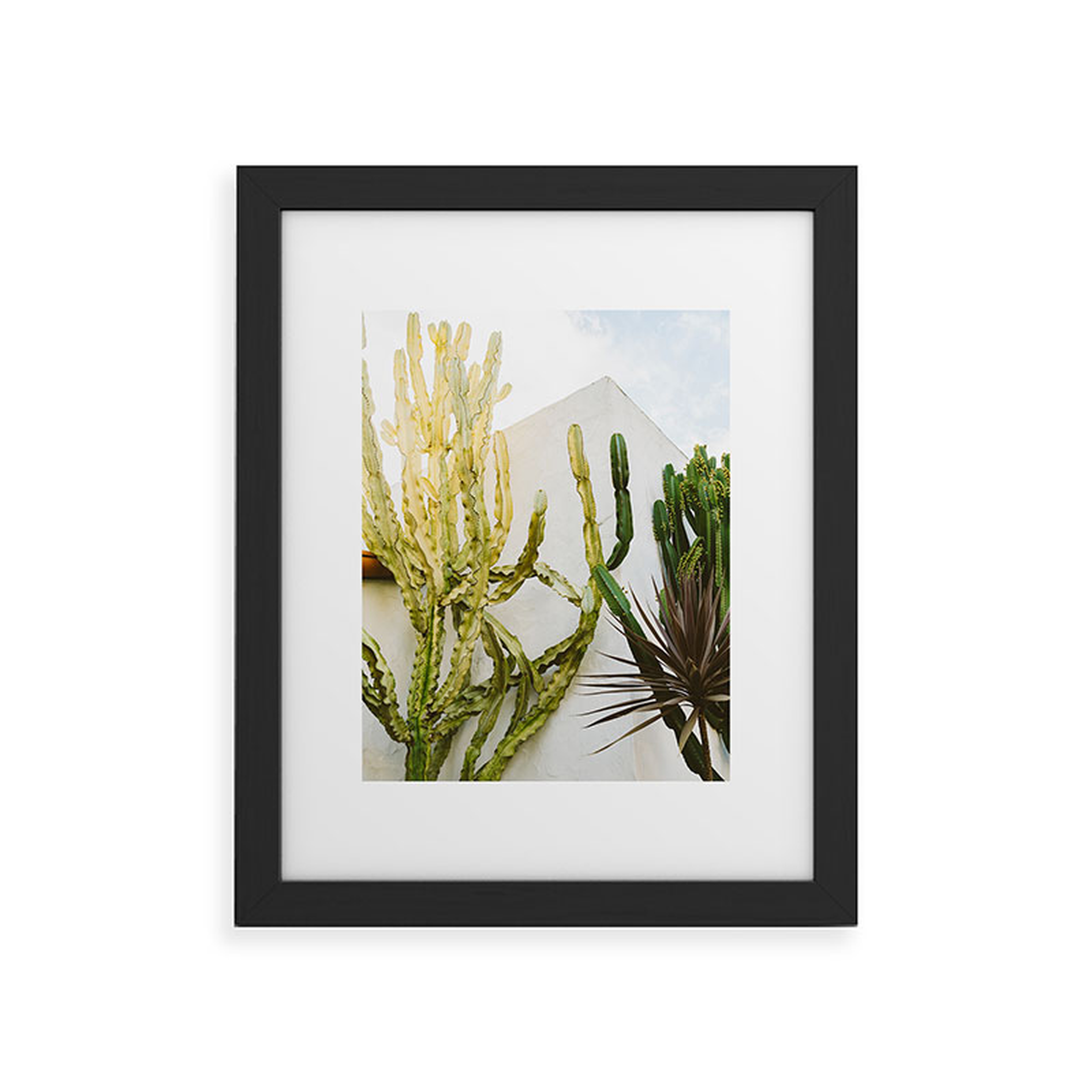 California Cactus Garden by Bethany Young Photography - Framed Art Print Classic Black 11" x 14" - Deny Designs