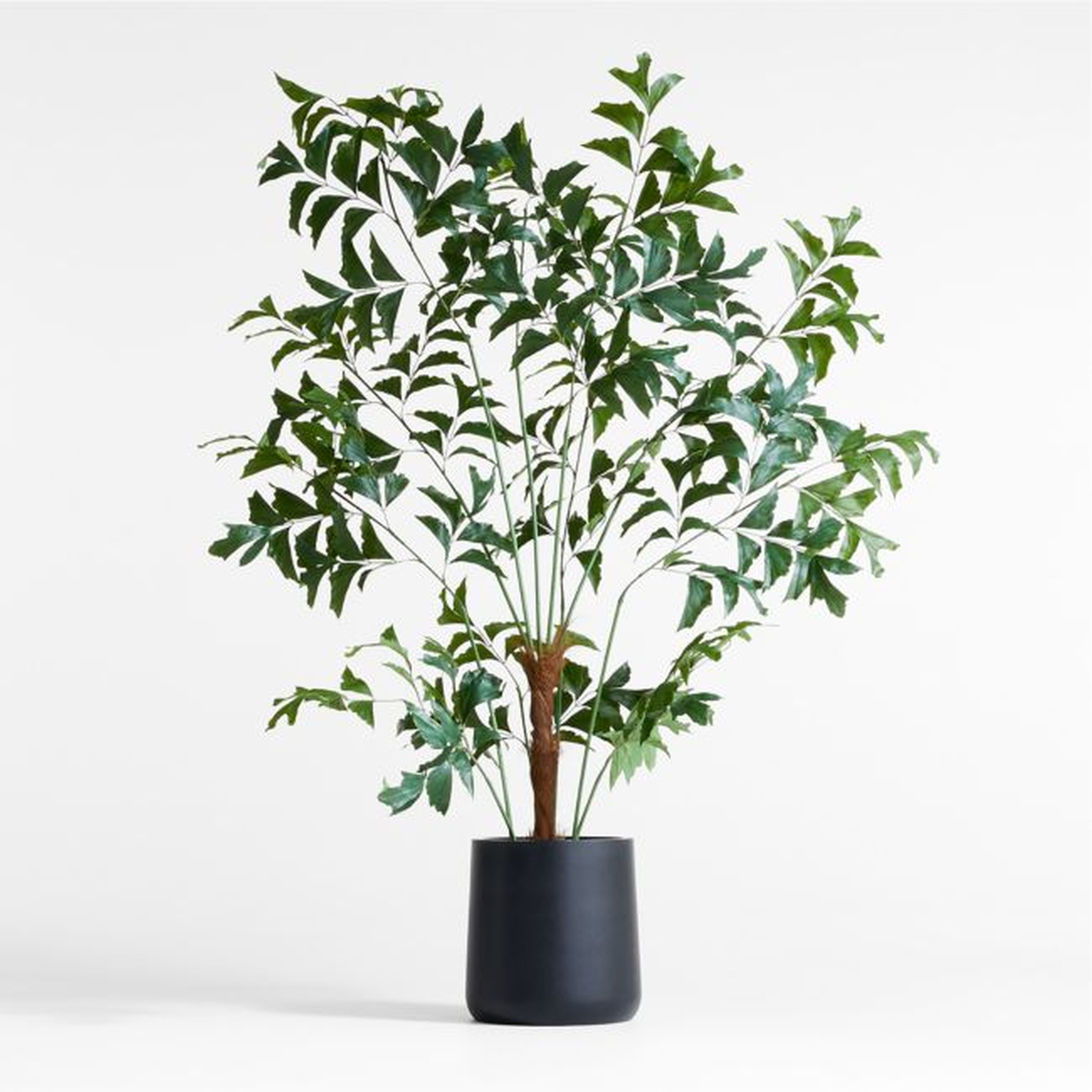 Potted Faux Fishtail Palm Tree 6.5' - Crate and Barrel