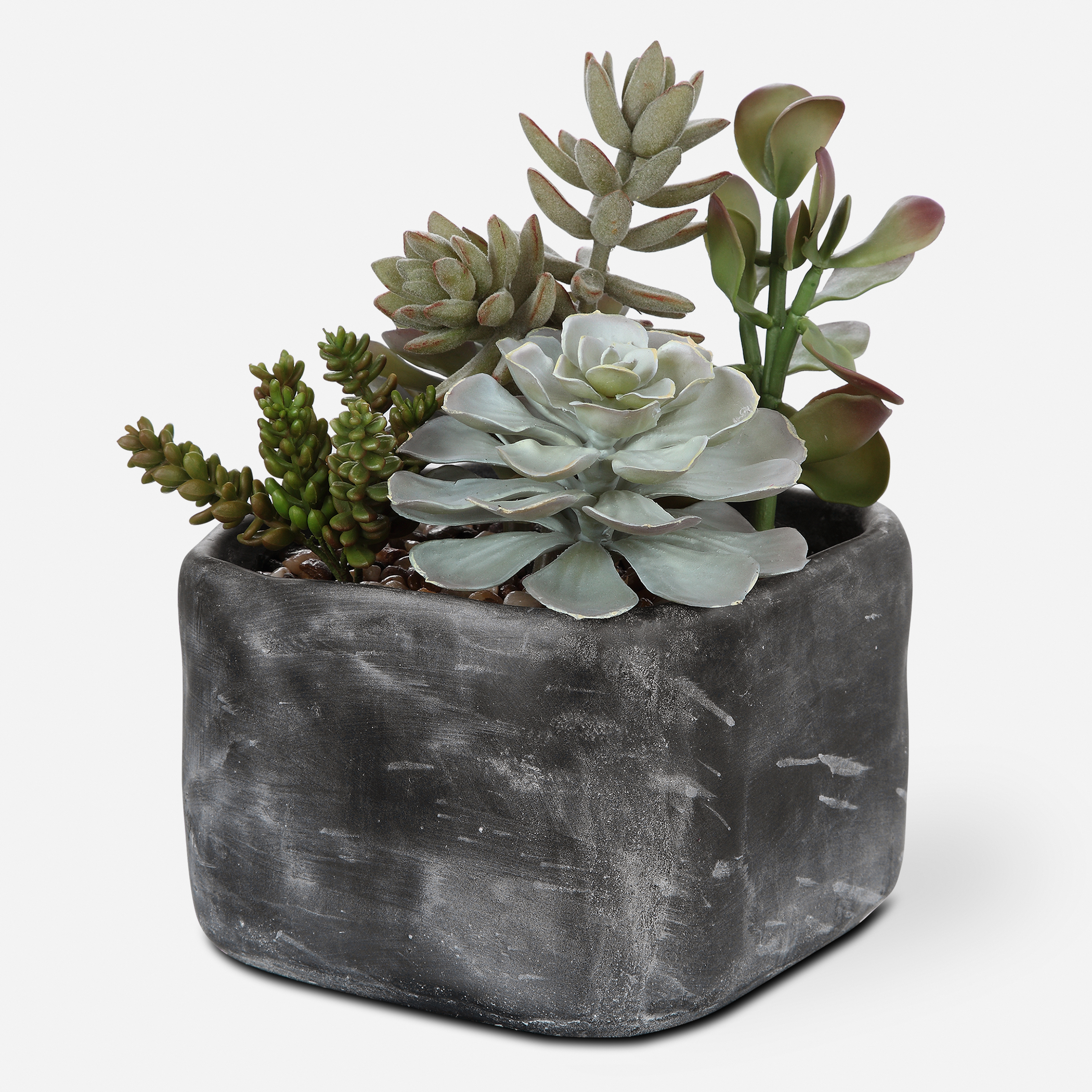 Alverio Desert Garden Succulents - Uttermost