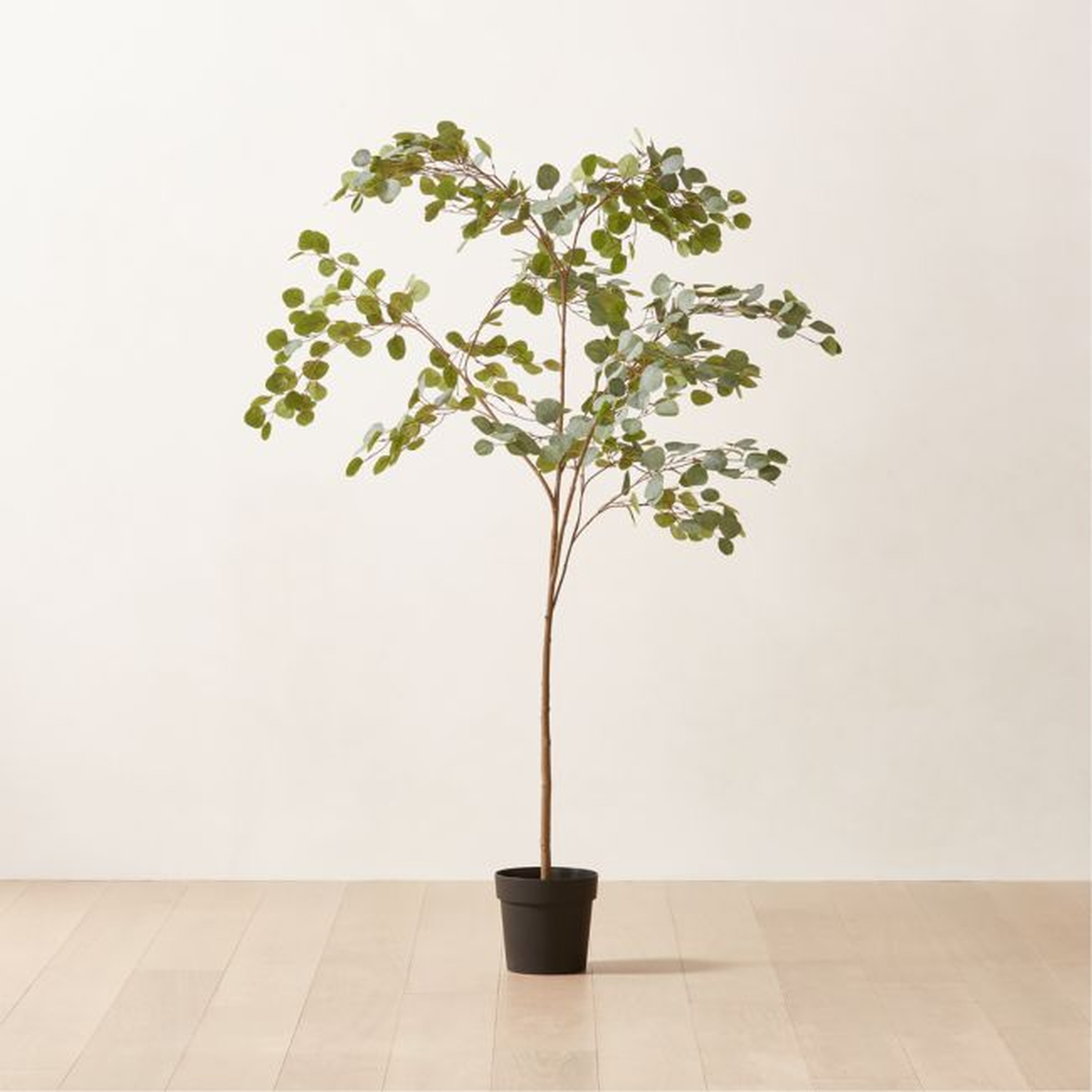 Faux Potted Eucalyptus 5.5" - NO LONGER AVAILABLE - CB2