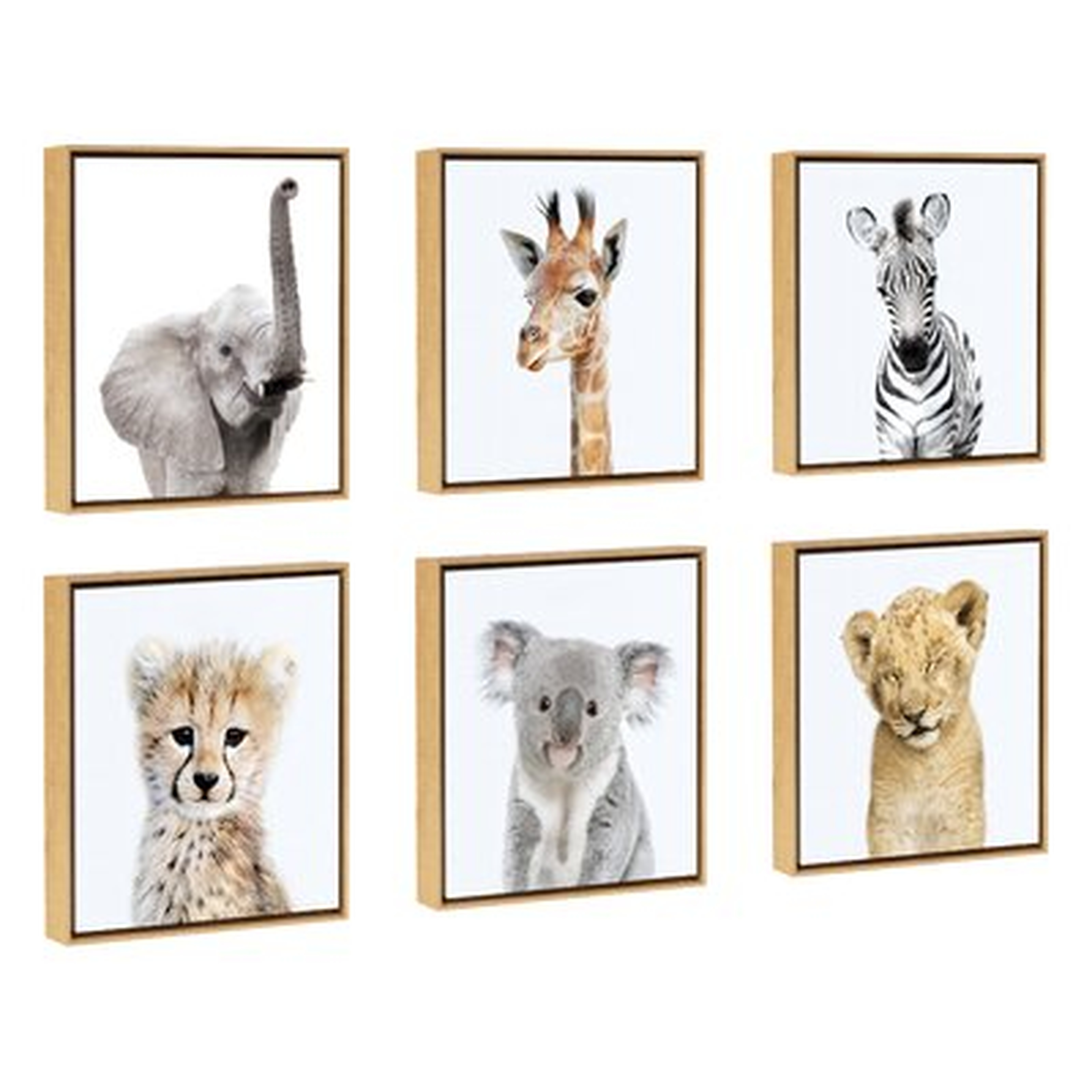 'Safari Animals' by Amy Peterson - Floater Frame Graphic Art Print on Canvas - Wayfair