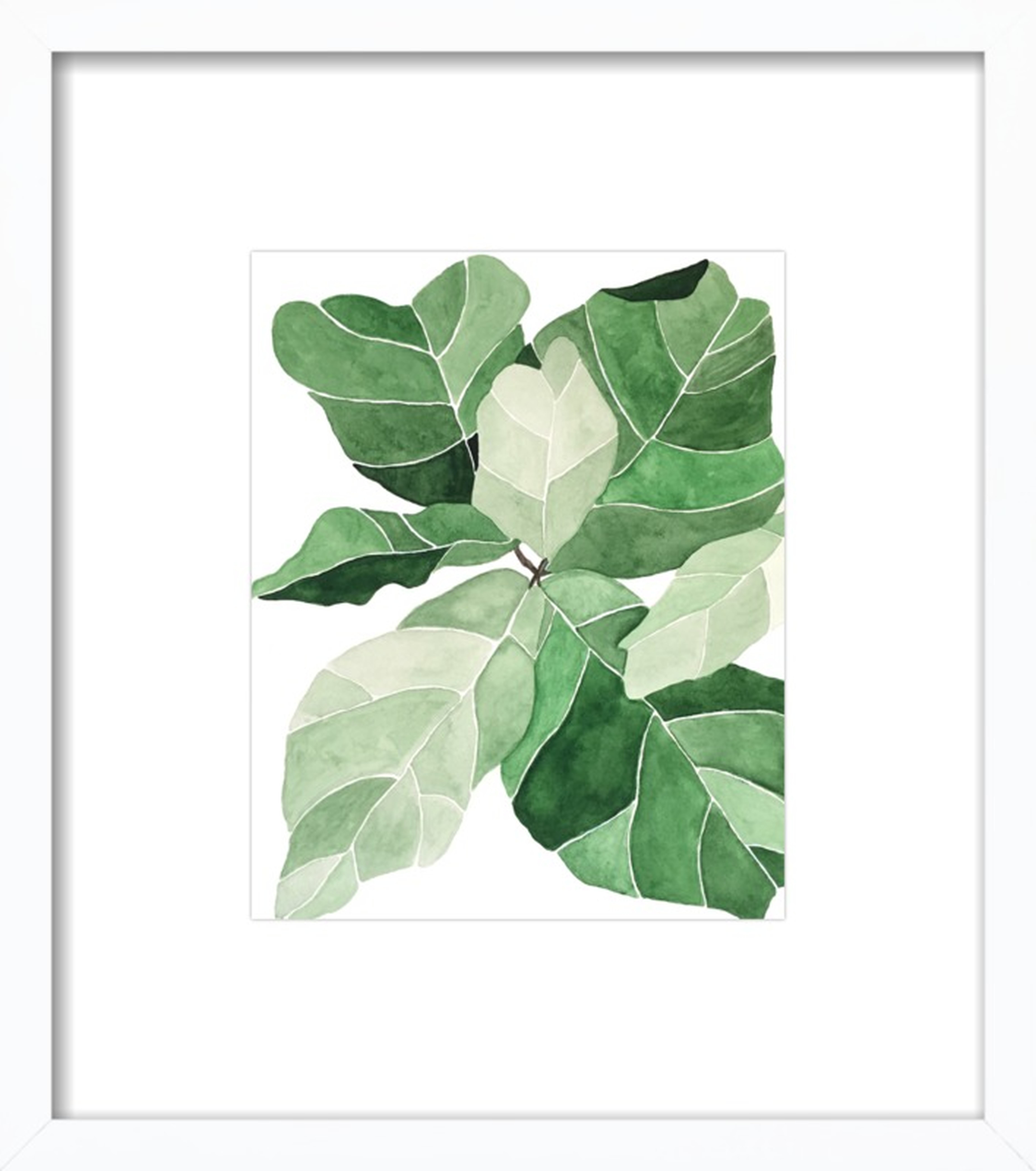 Fiddle Leaf Fig by Emily Grady Dodge for Artfully Walls - Artfully Walls