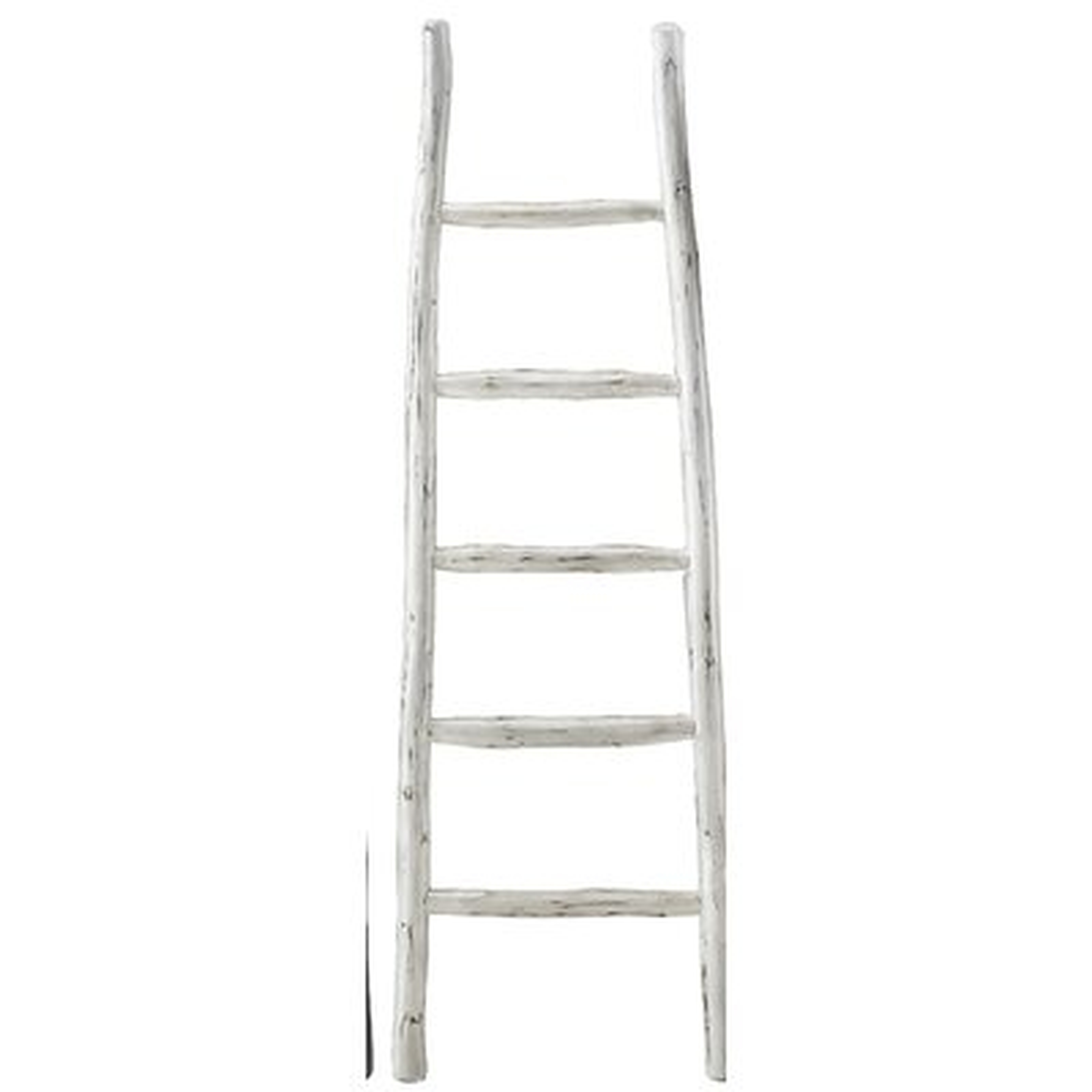 Blanket 6' Blanket Ladder - AllModern