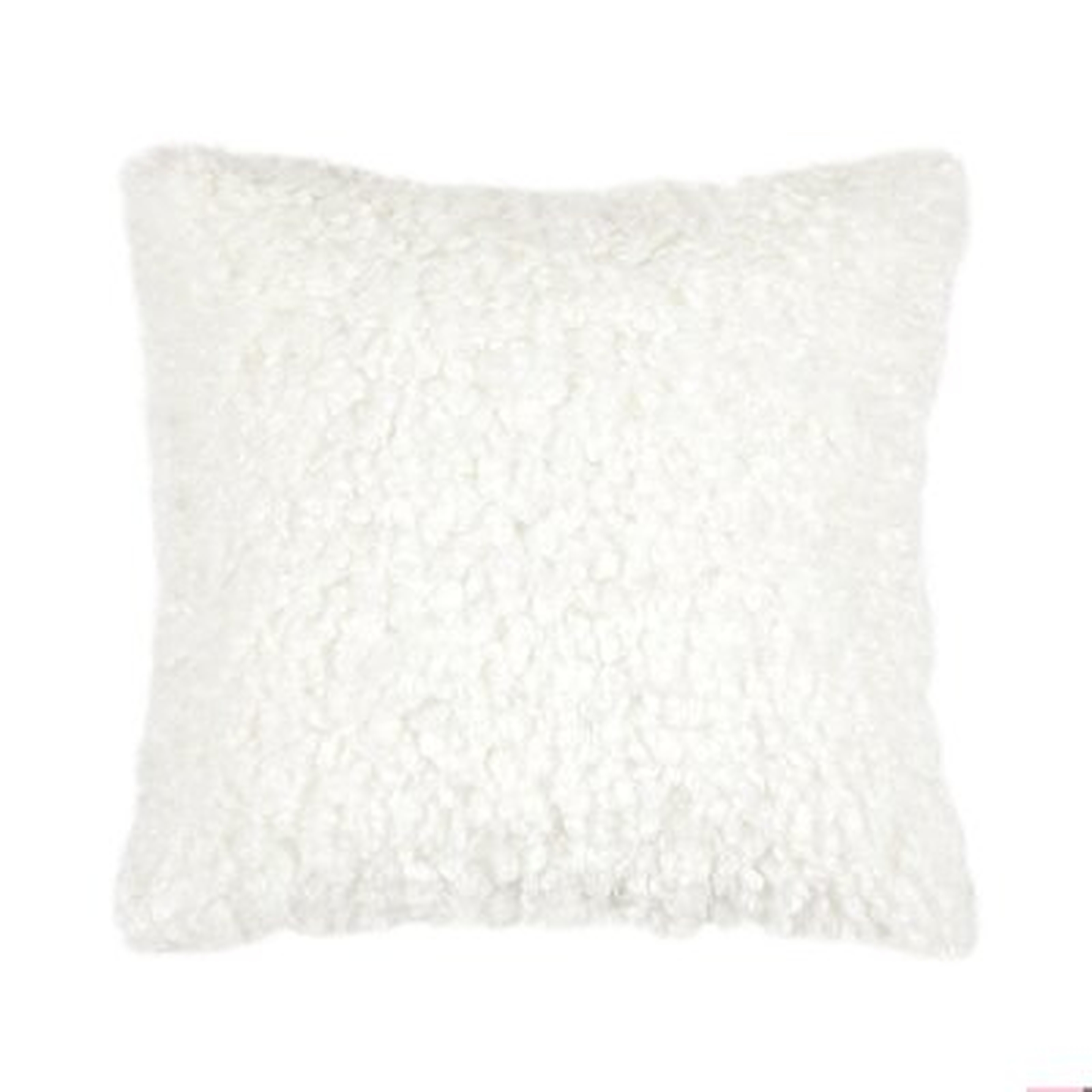 Throw Pillow - Wayfair