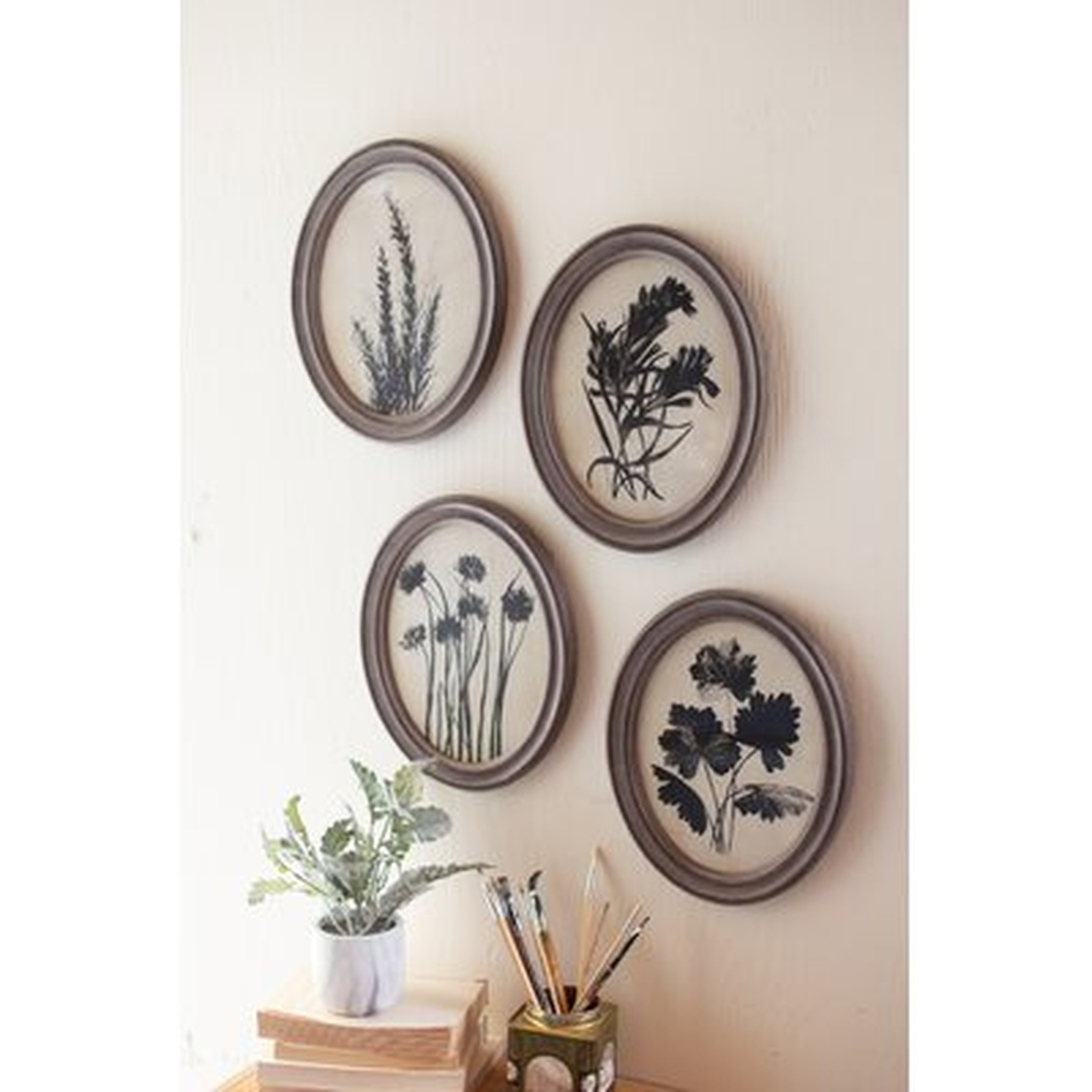 'Oval Botanical Prints Under Glass' - 4 Piece Picture Frame Print Set on Canvas - Wayfair