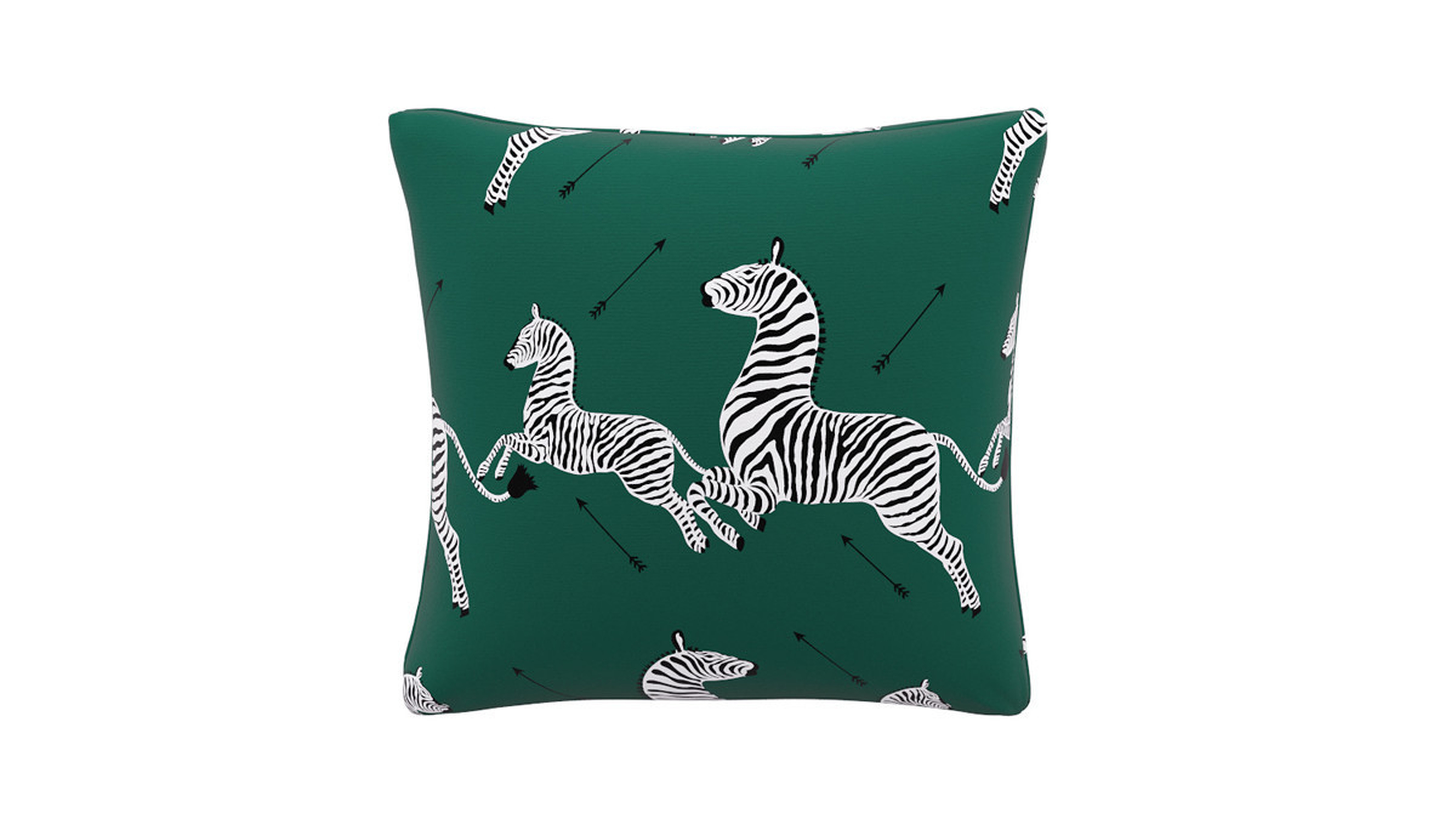 Throw Pillow | Emerald Zebra - The Inside