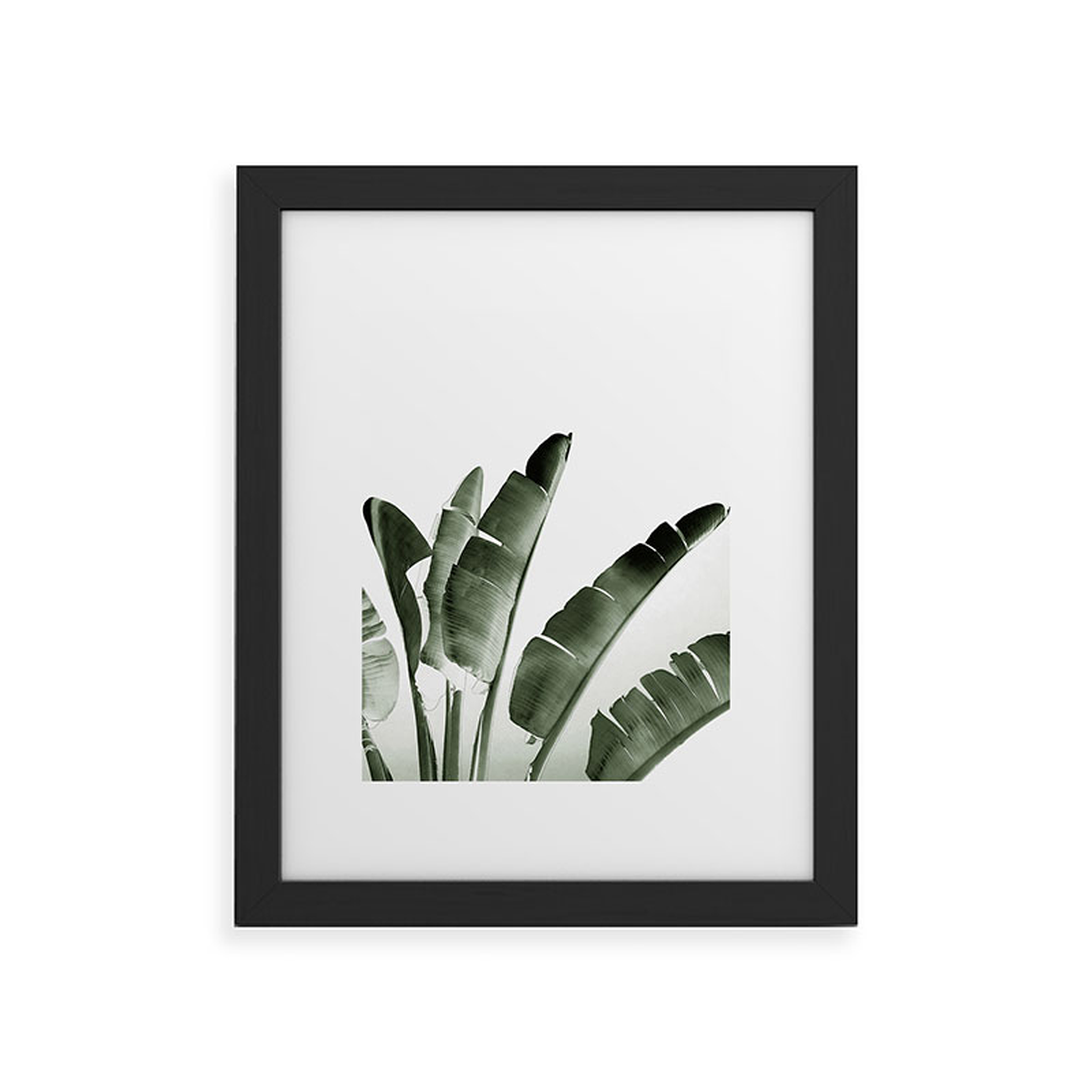 Traveler Palm by Gale Switzer - Framed Art Print Classic Black 16" x 20" - Wander Print Co.