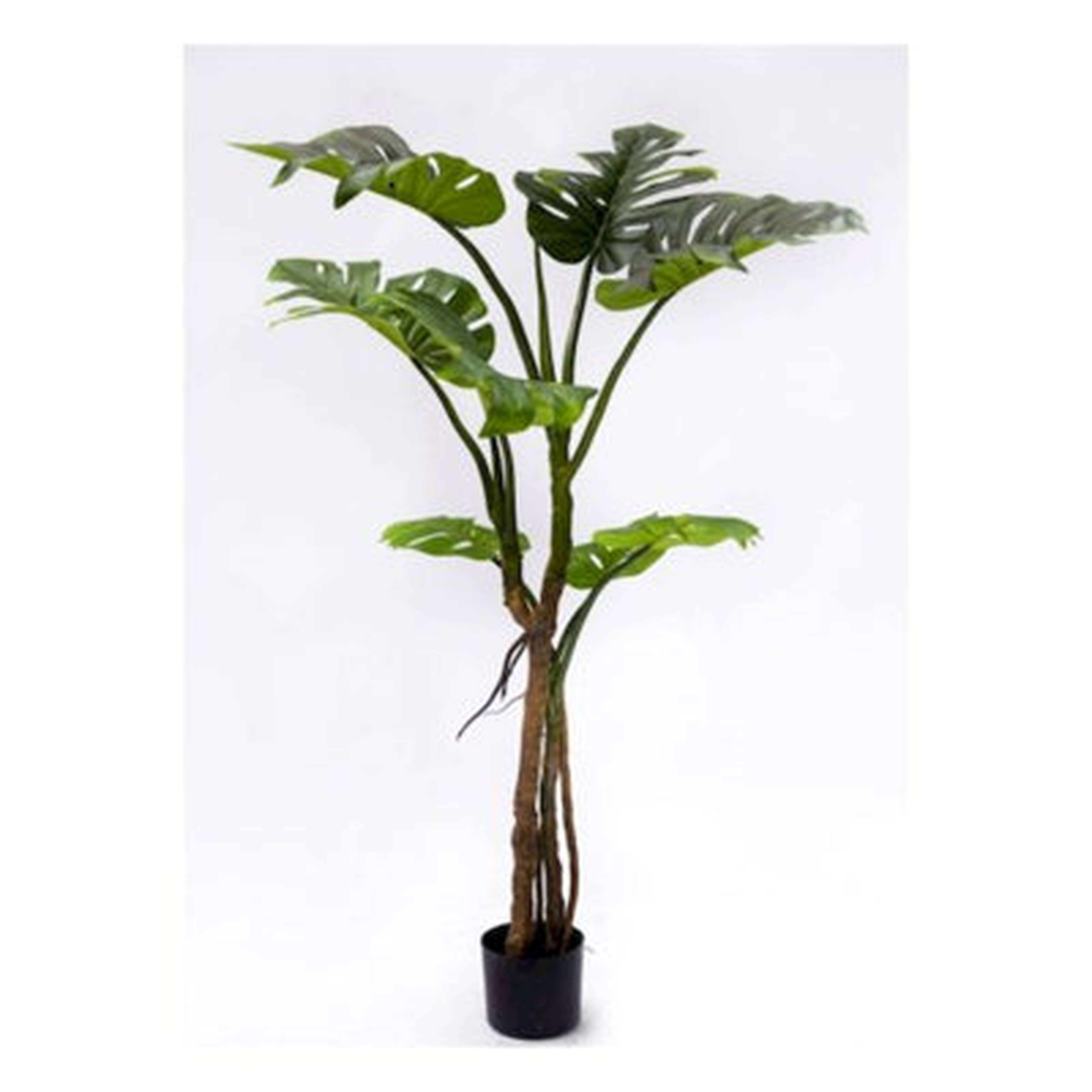 Potted Monsteria Plant Faux Plants And Trees - Wayfair