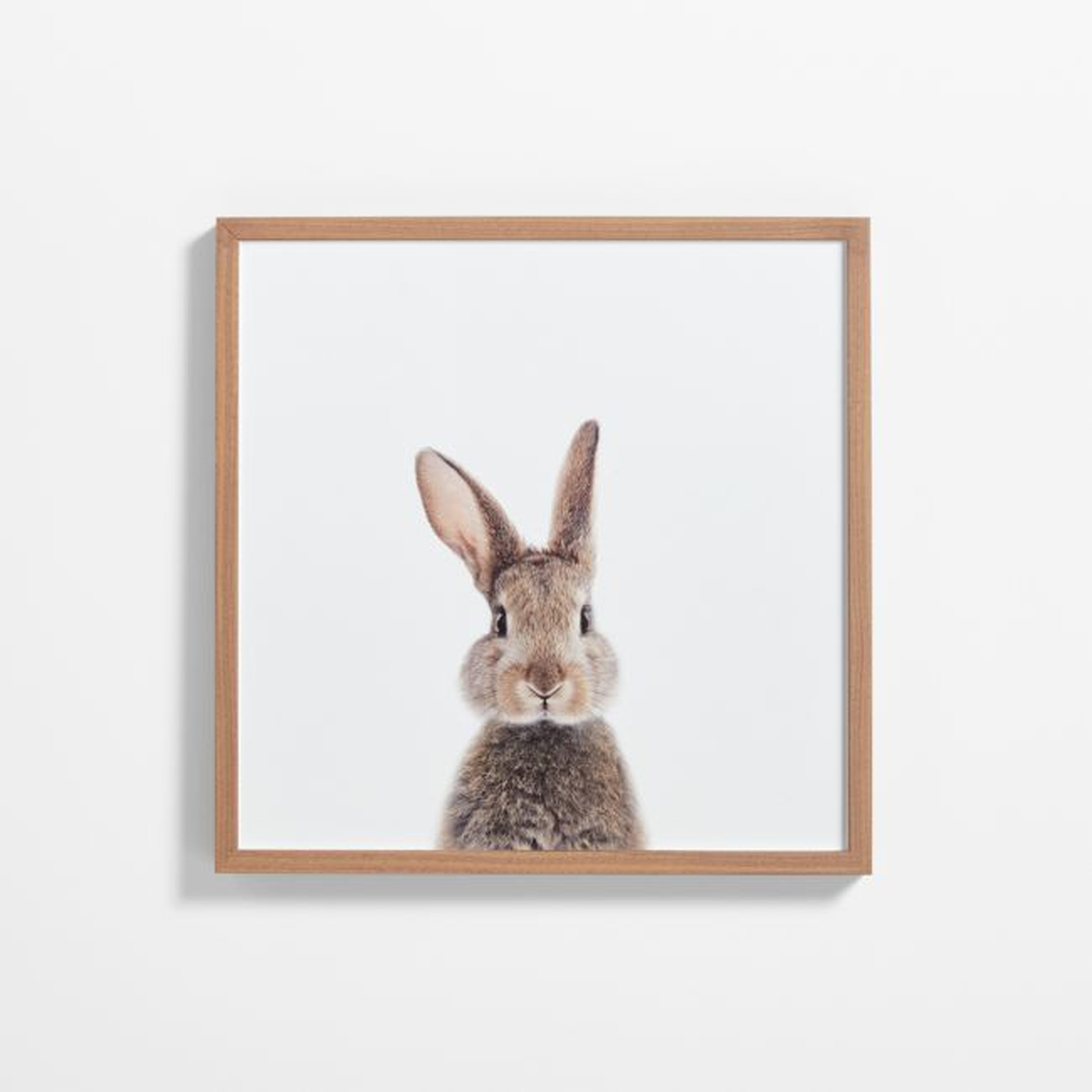 Baby Bunny Walnut Wood Framed Wall Art Print - Crate & Kids