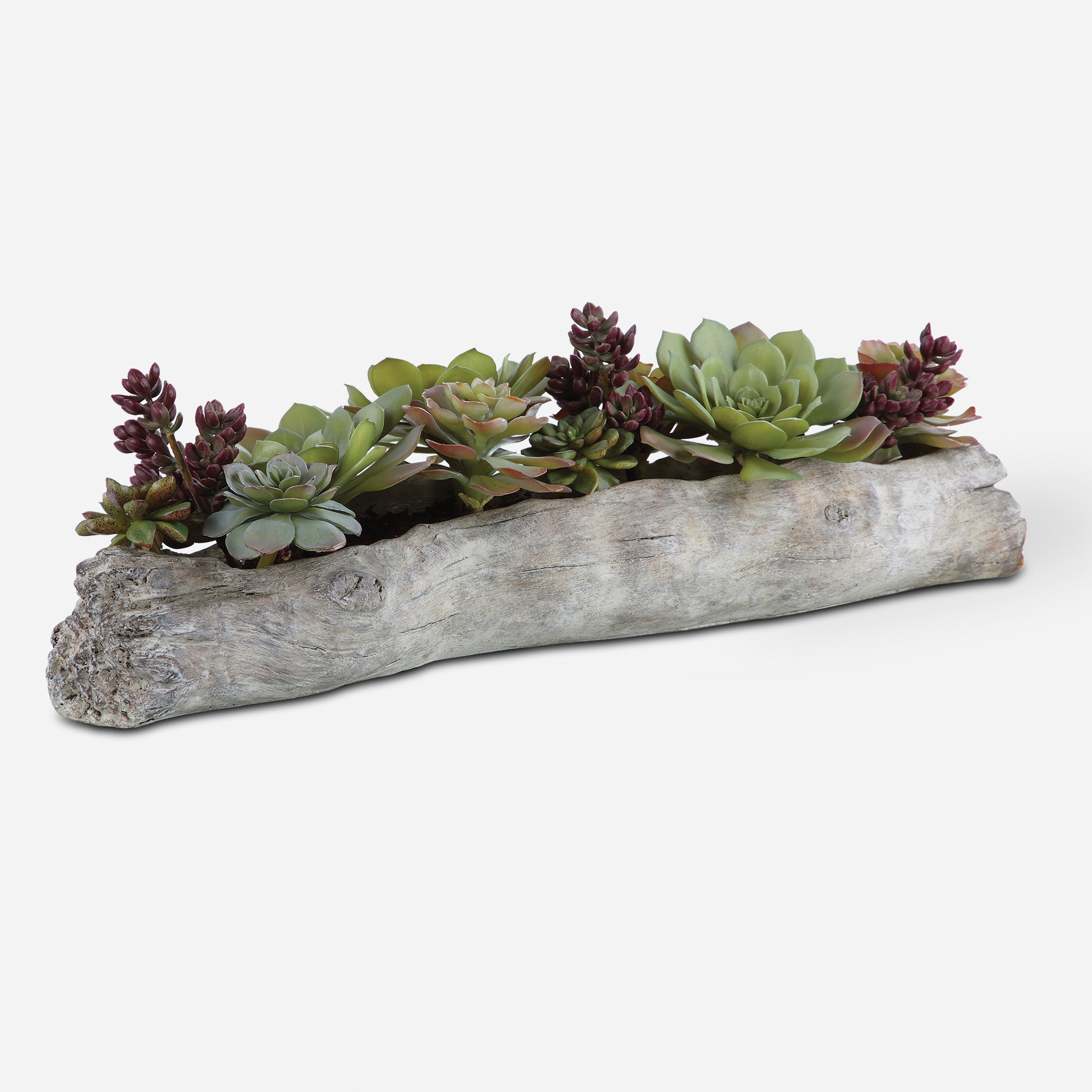 Charita Lush Succulents - Uttermost