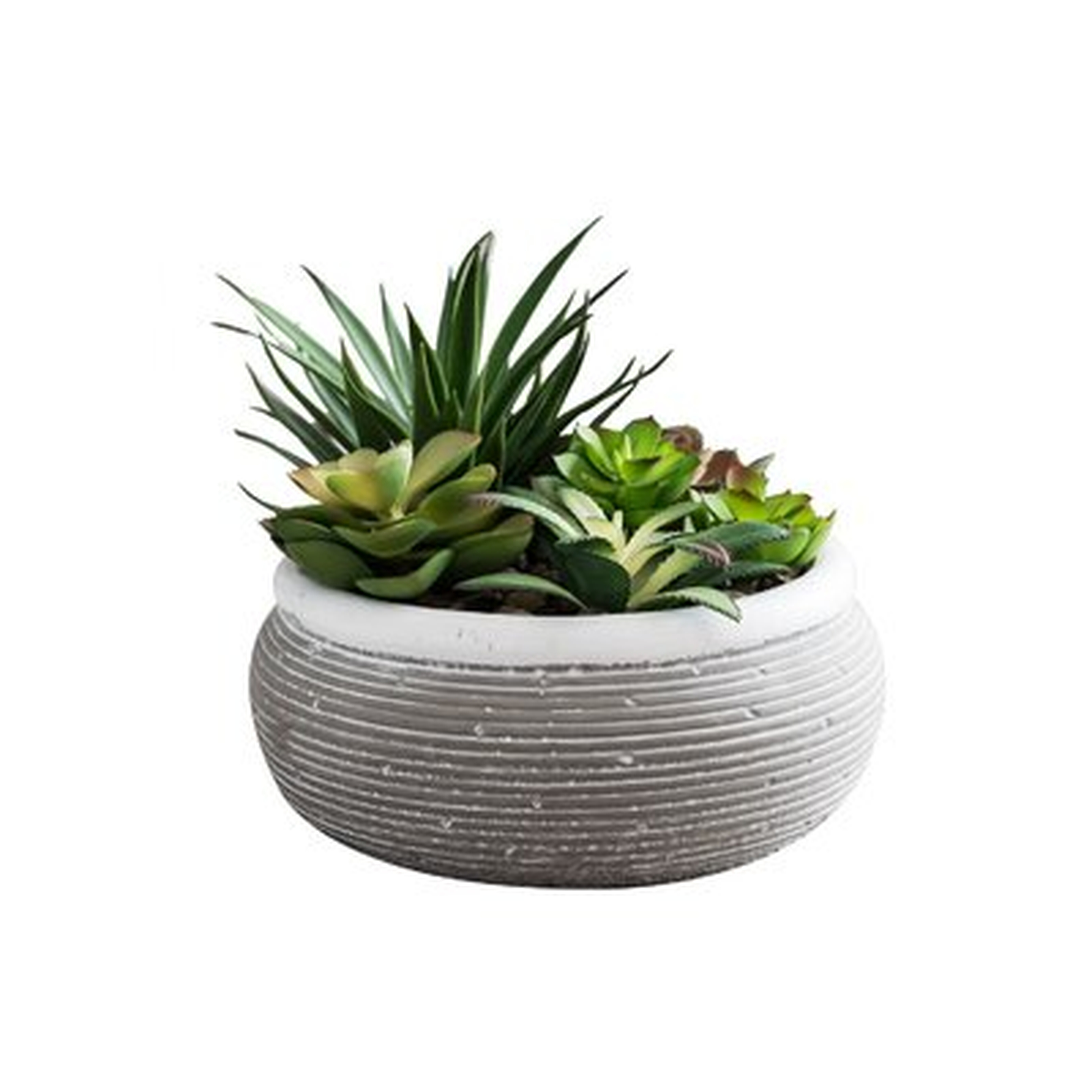 Artificial Succulent in Pot, 4.5" - Wayfair
