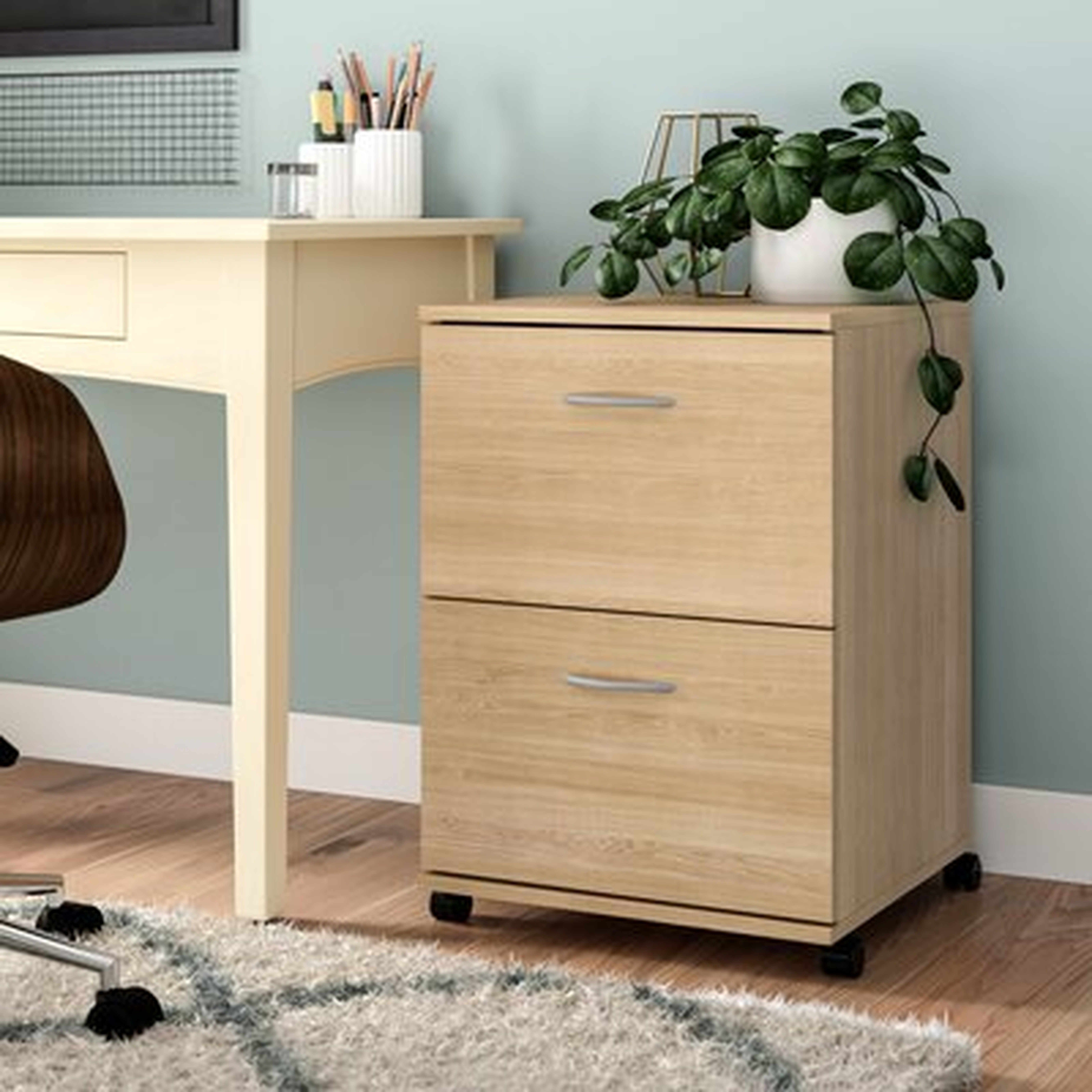 2-Drawer Mobile Vertical Filing Cabinet - Wayfair