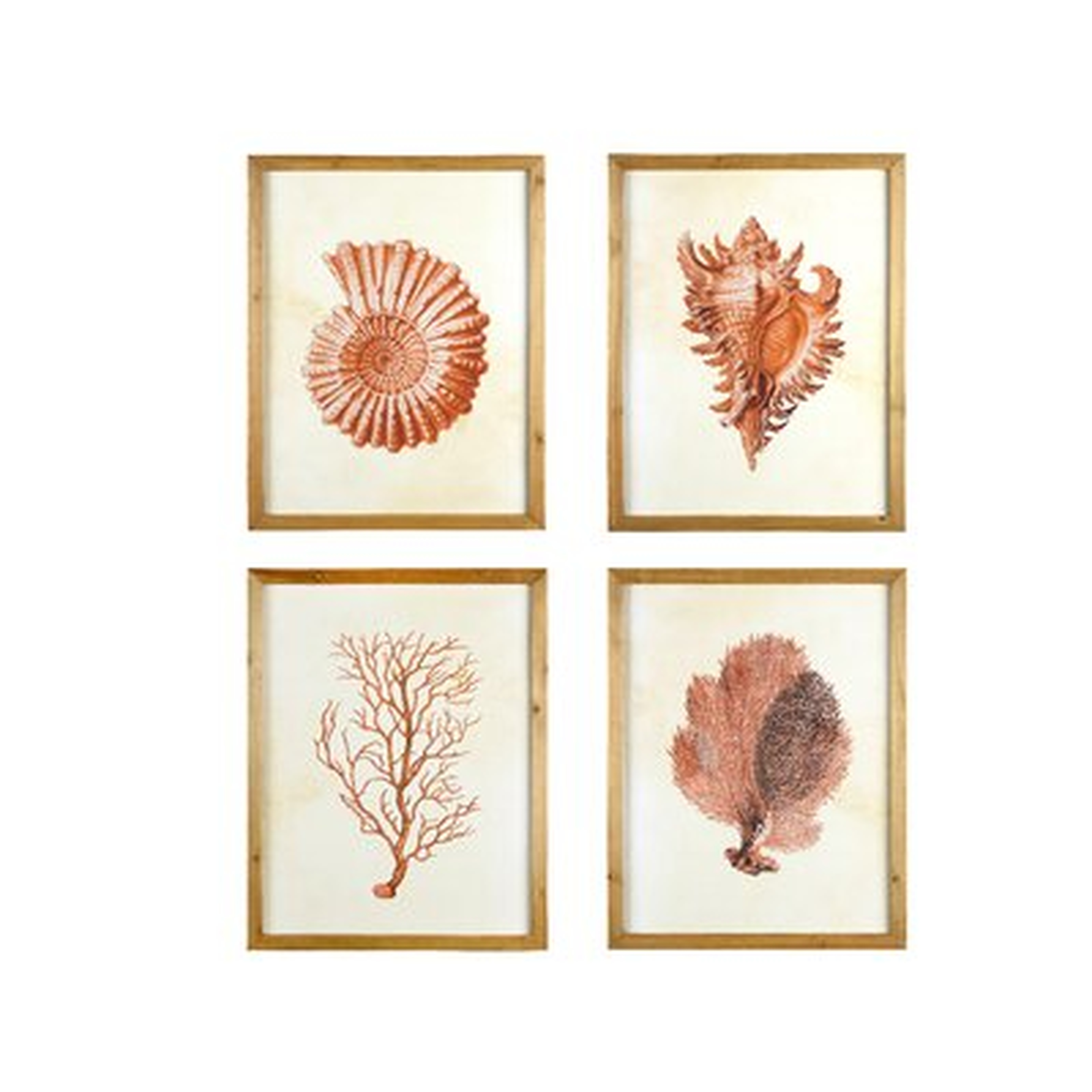Framed Wall Art With Blue Shells & Coral - 4 Piece Picture Frame Print Set on Wood - Wayfair