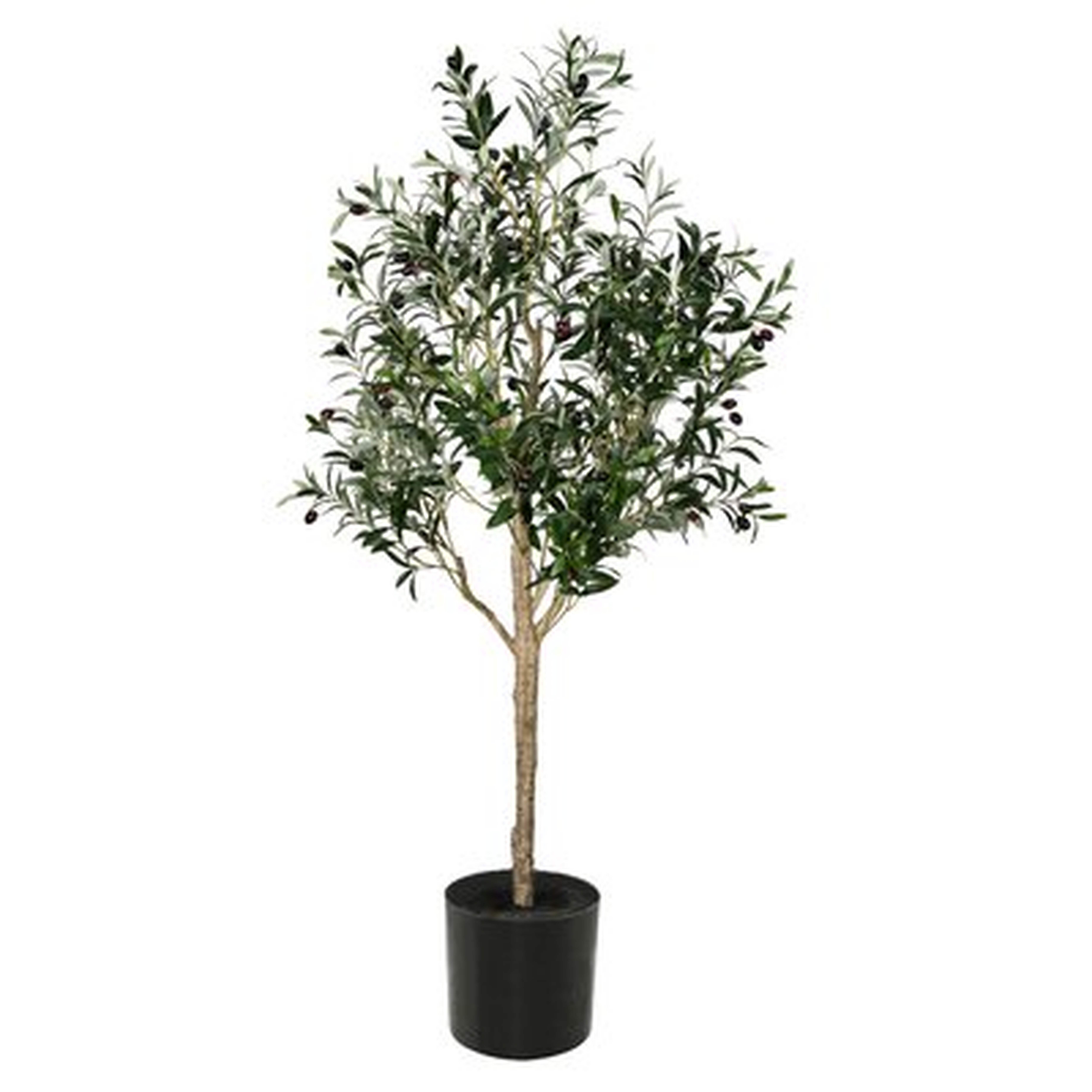 Artificial Olive Tree in Pot, 60" - Wayfair