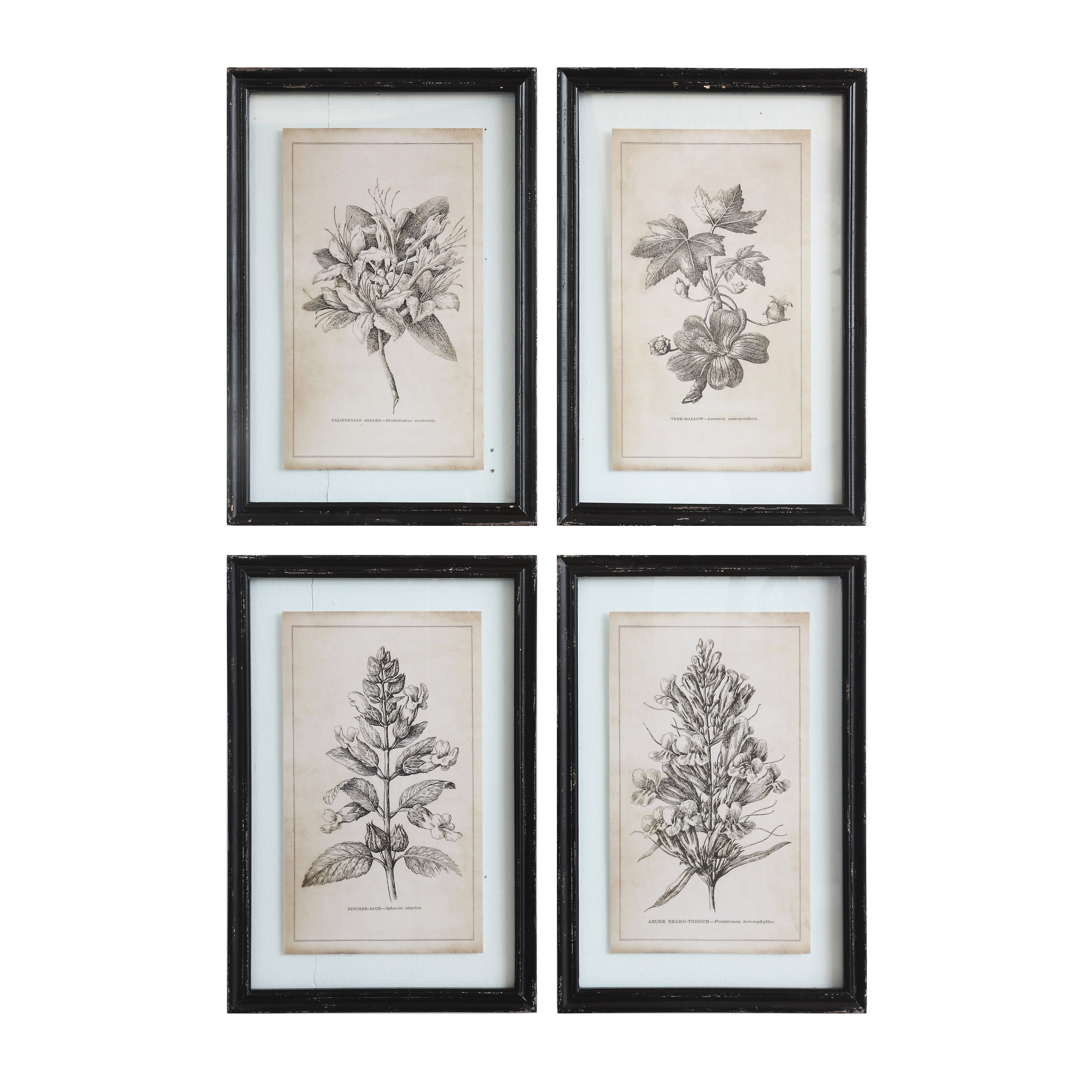 Wood Framed Wall Décor with Floral Images (Set of 4 Designs) - Nomad Home