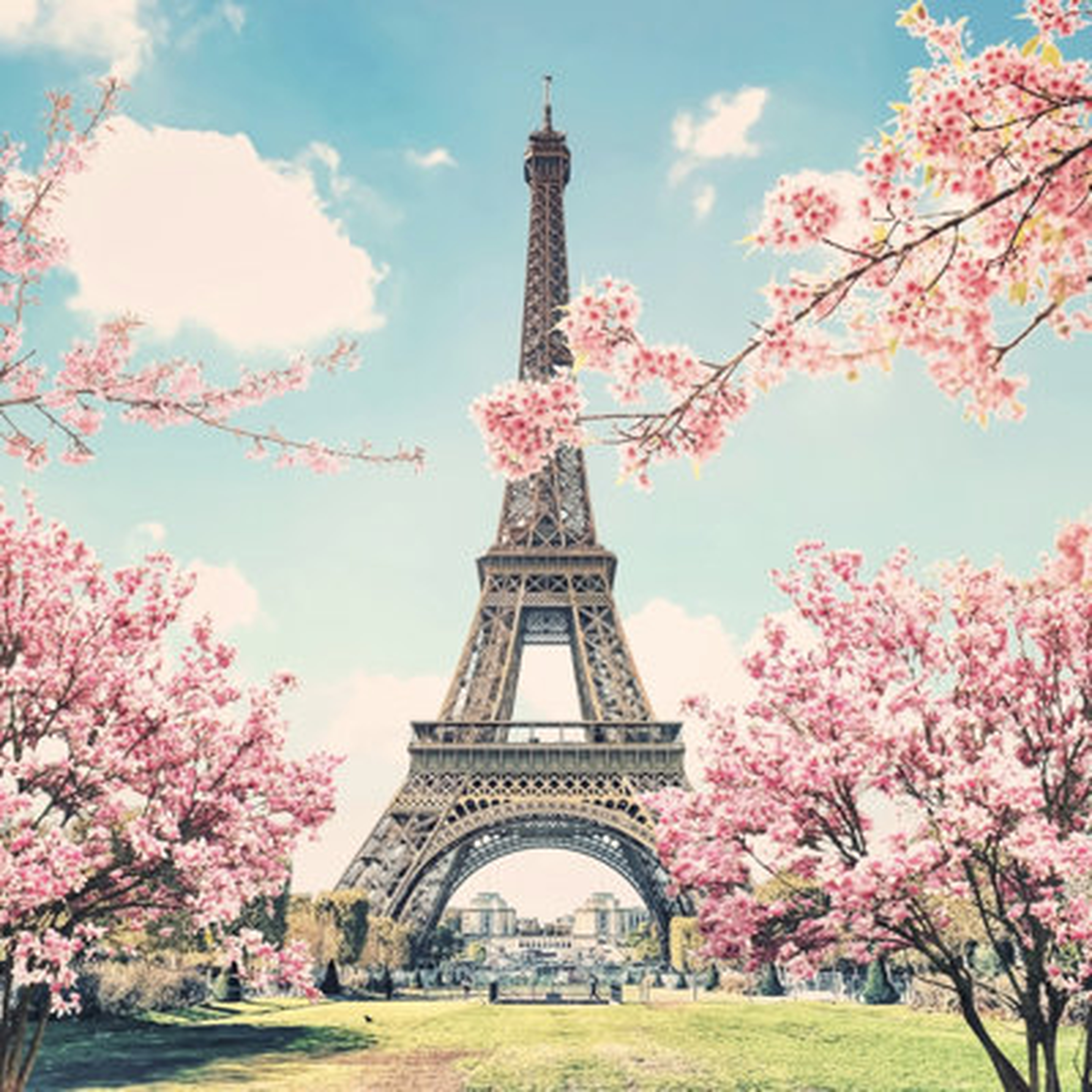 Eiffel Tower In Paris - Wayfair