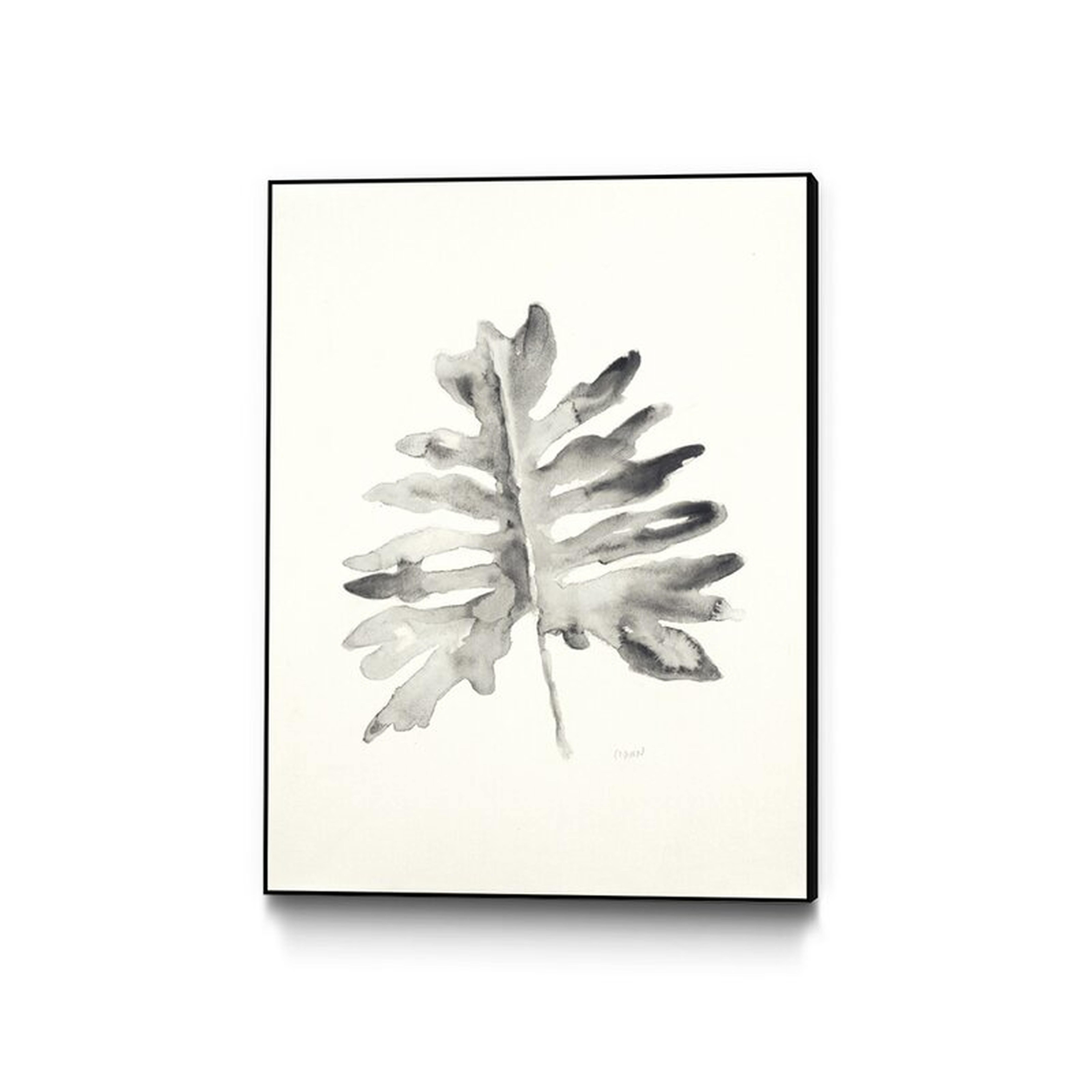 'Black and White Palm II' Framed Print Size: 20" H x 16" W - Perigold