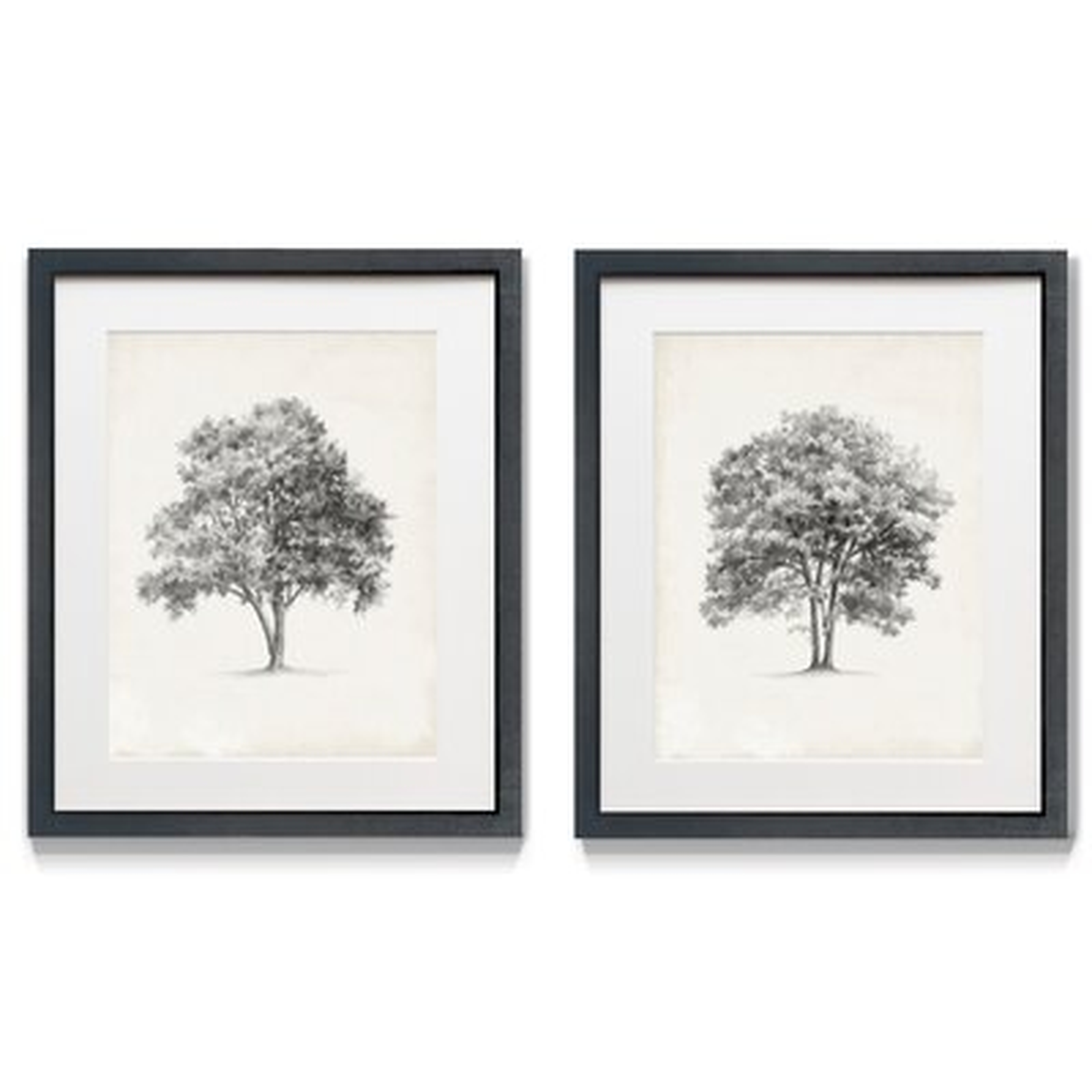 Vintage Arbor Study I - 2 Piece Picture Frame Print Set - Wayfair