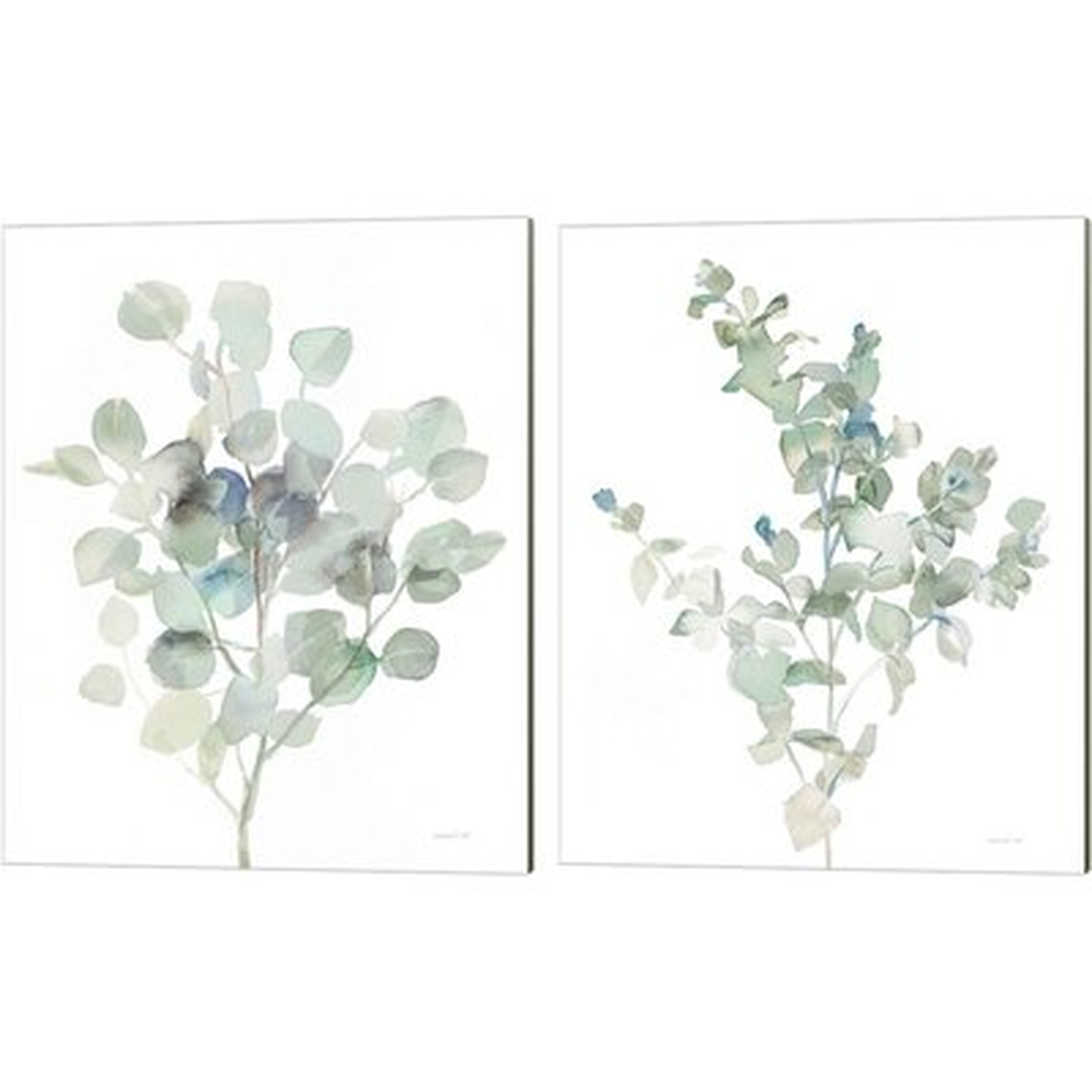 Eucalyptus Cool By Danhui Nai, Canvas Art (Set Of 2) - Wayfair