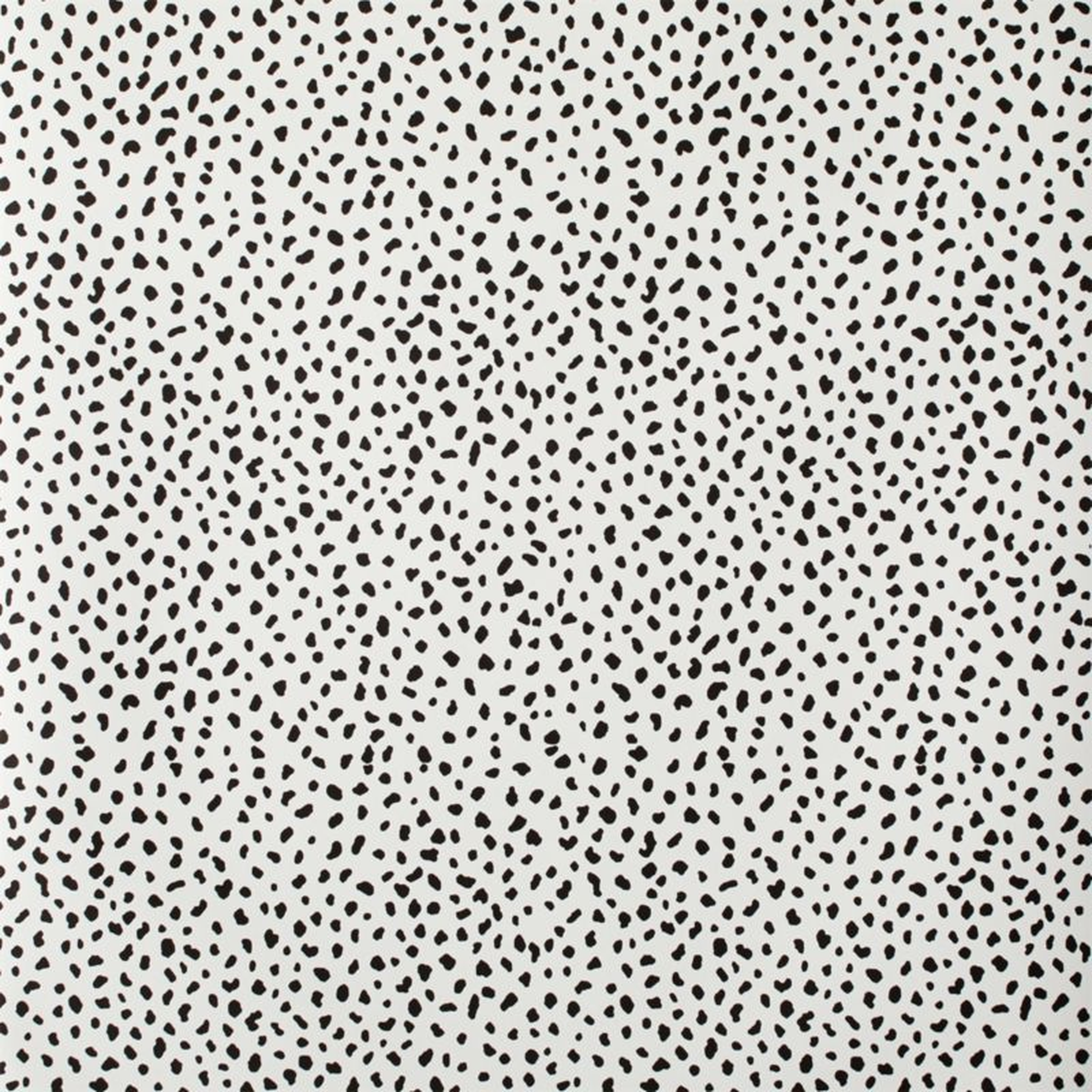 Chasing Paper White and Black Speckle Removable Wallpaper 2'x8' - Crate & Kids