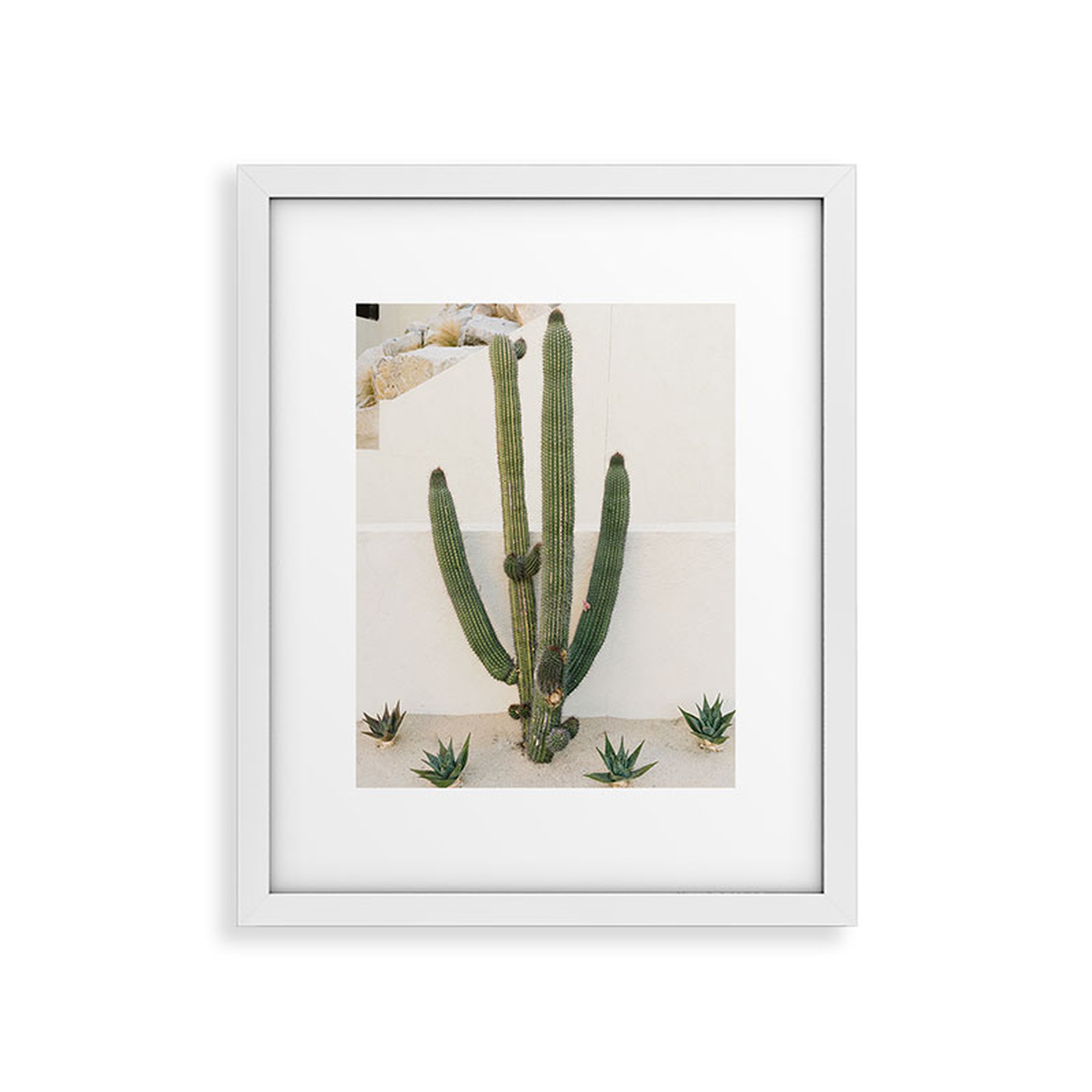 Cabo Cactus X by Bethany Young Photography - Modern Framed Art Print, White, 16" x 20" - Roam Common