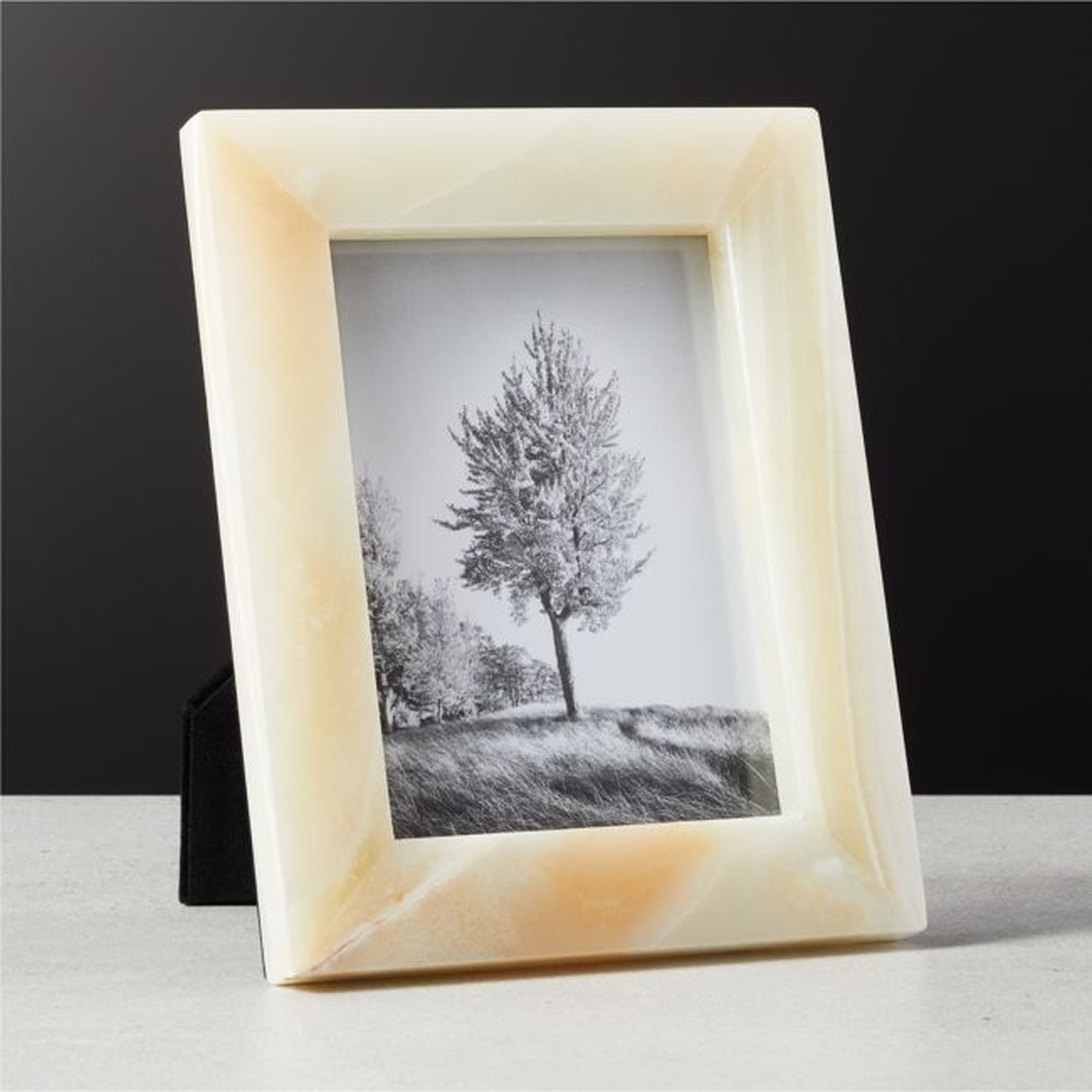 Onyx Picture Frame 5"X7" - CB2