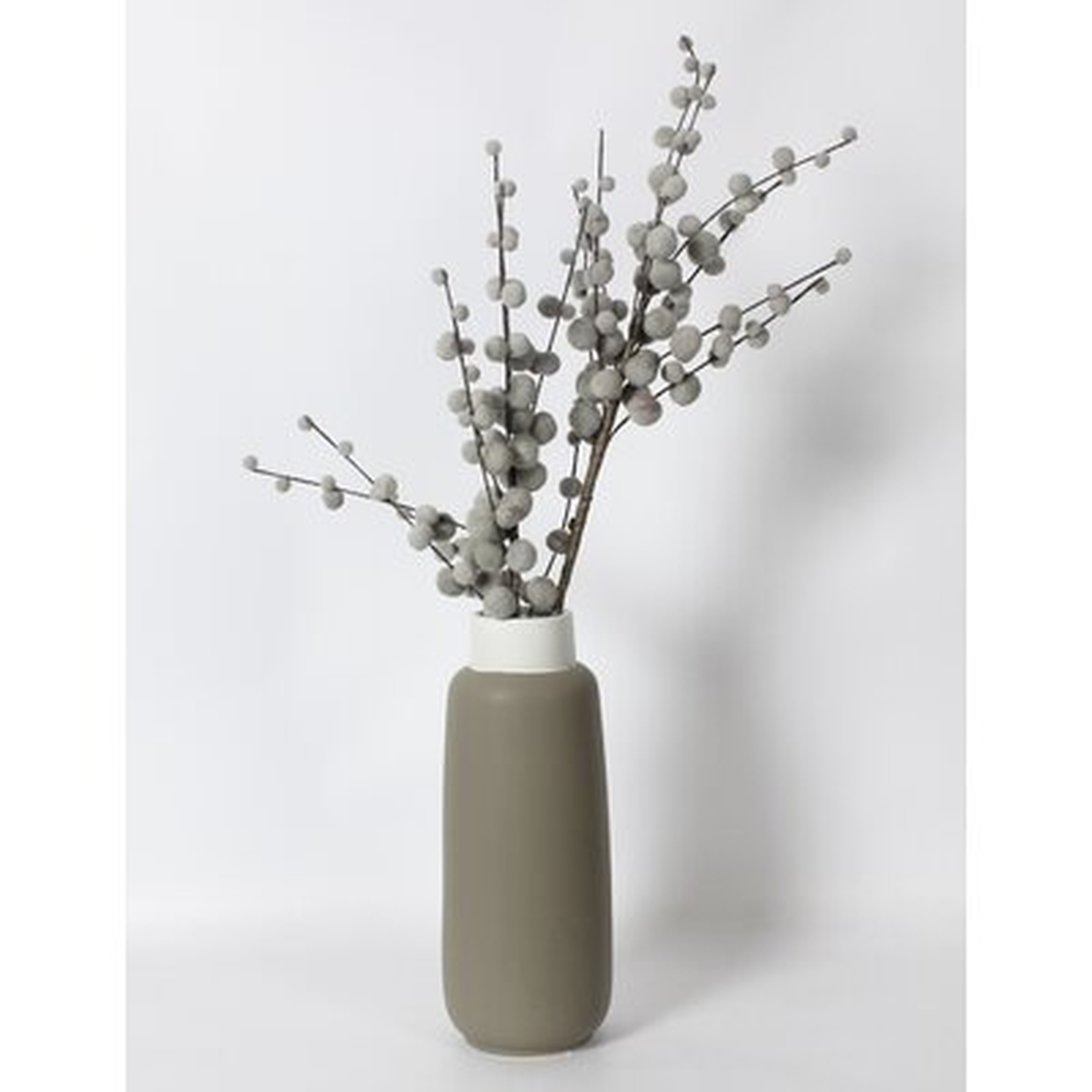 Baillons Ceramic Table Vase - Wayfair
