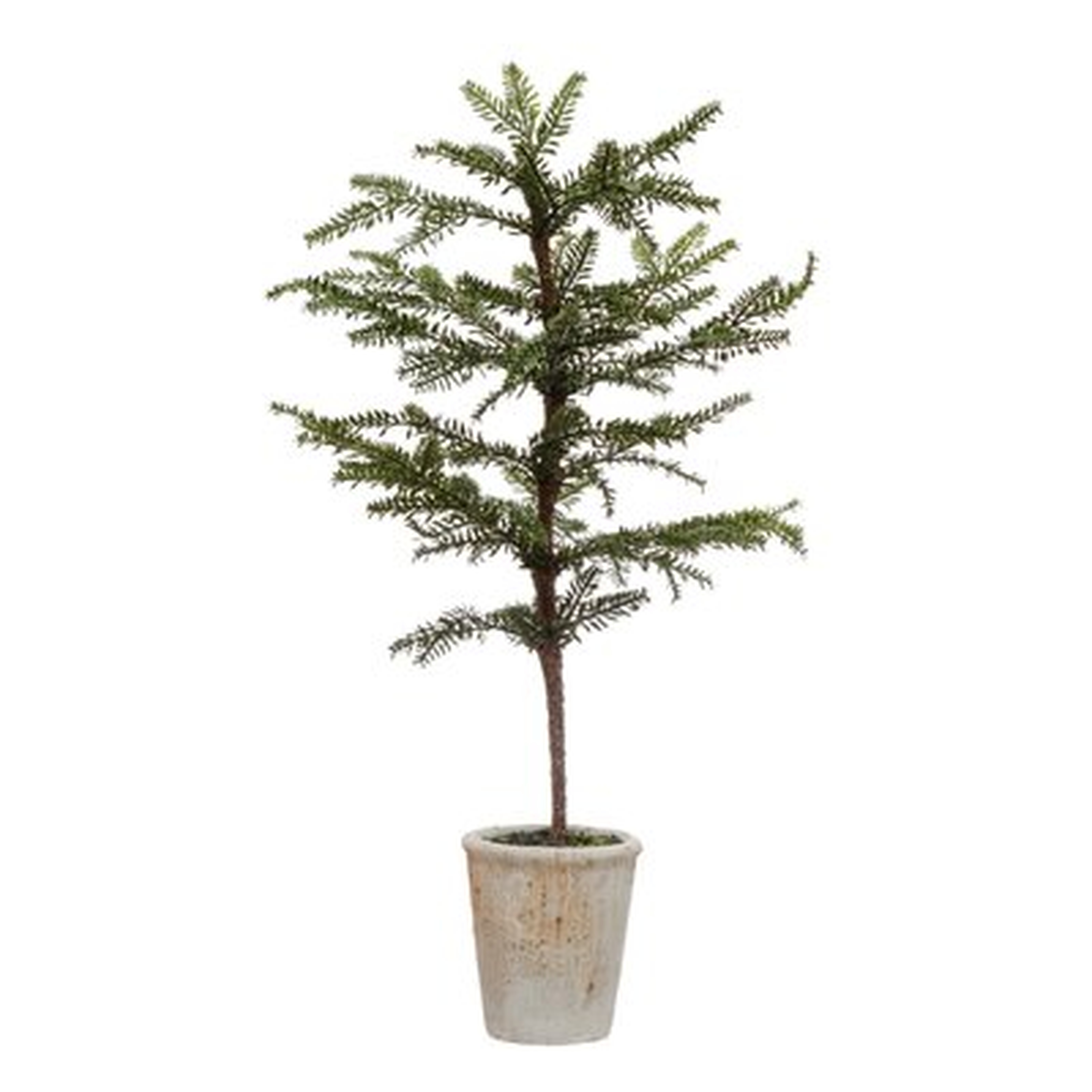 Faux Pine Tree In Distressed White Terra-Cotta Pot - Wayfair