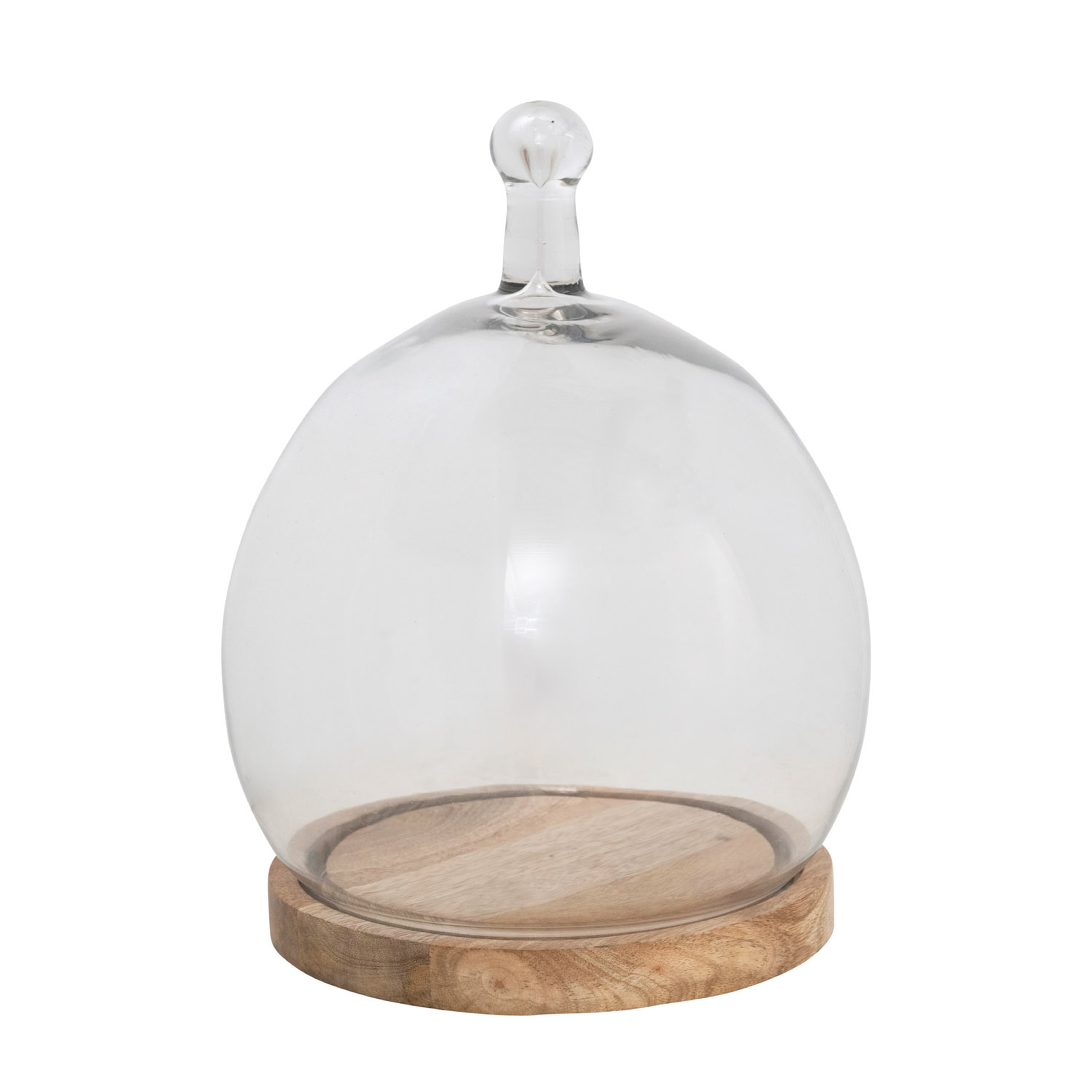 Glass Cloche with Handle and Mango Wood Base - Creative Co-Op
