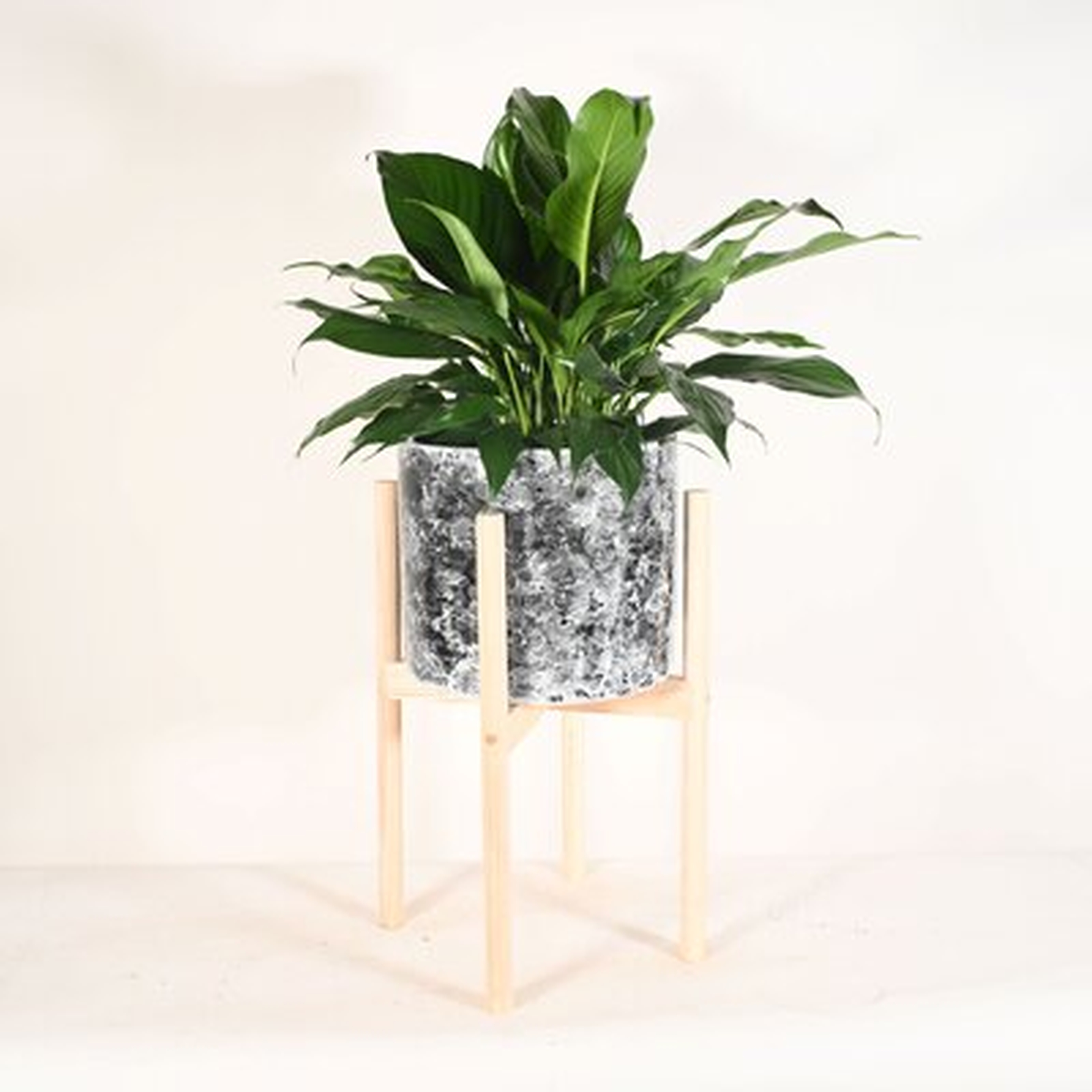 Live Plant Peace Lily With Mid Century Modern Ceramic Planter Pot 10" Black Marble With Wood Stands Natural - Wayfair